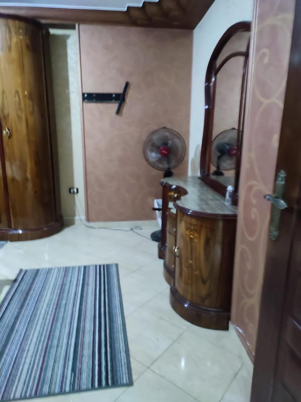 Spacious apartment with Nile view