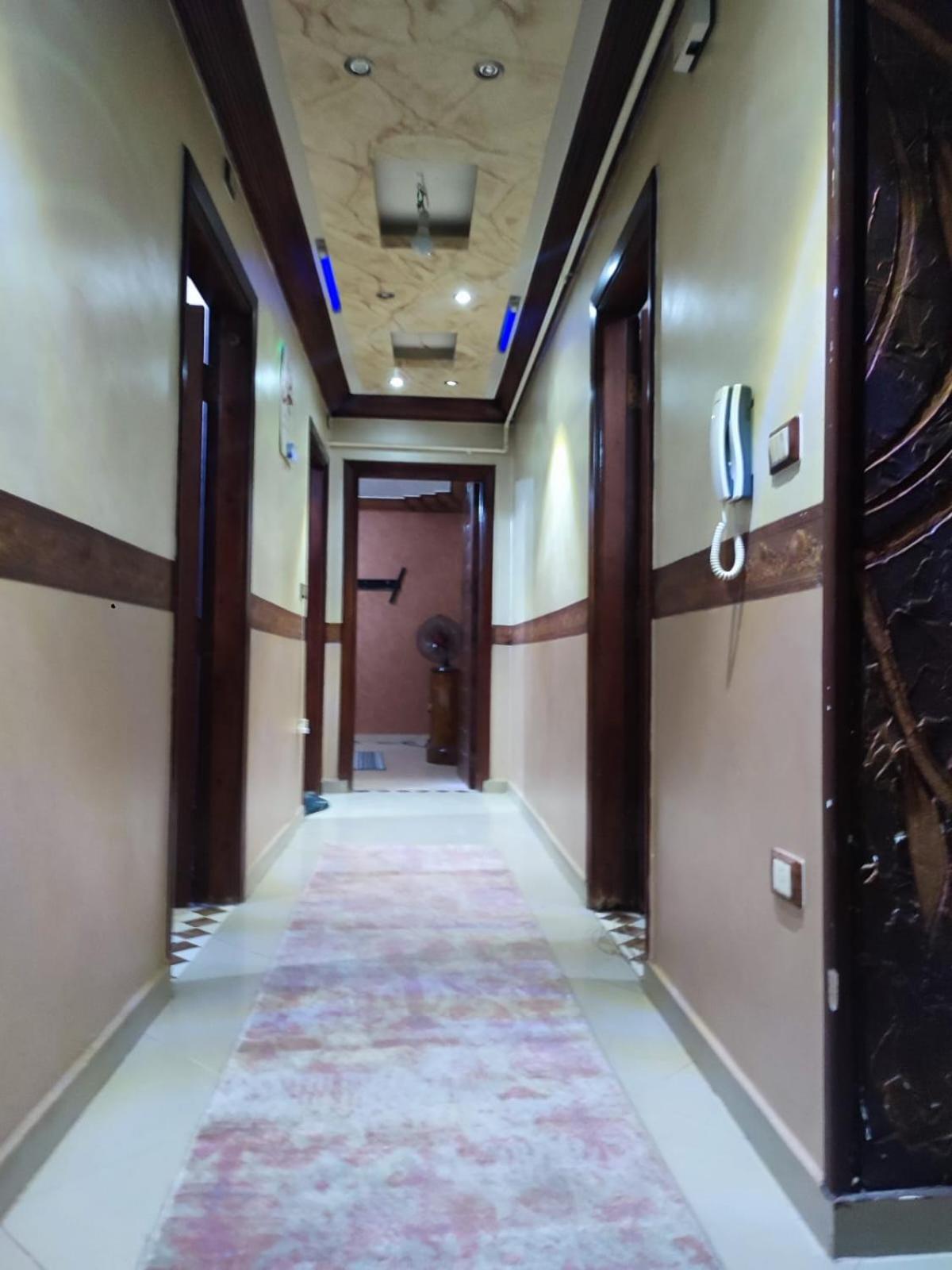 Spacious apartment with Nile view