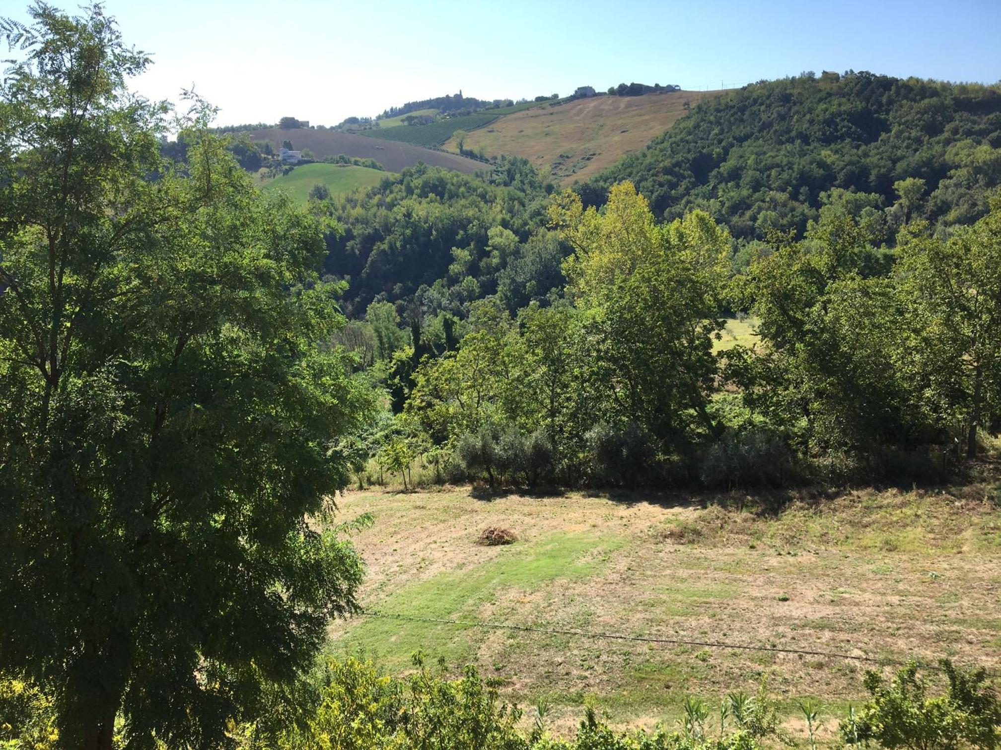 Photo 48