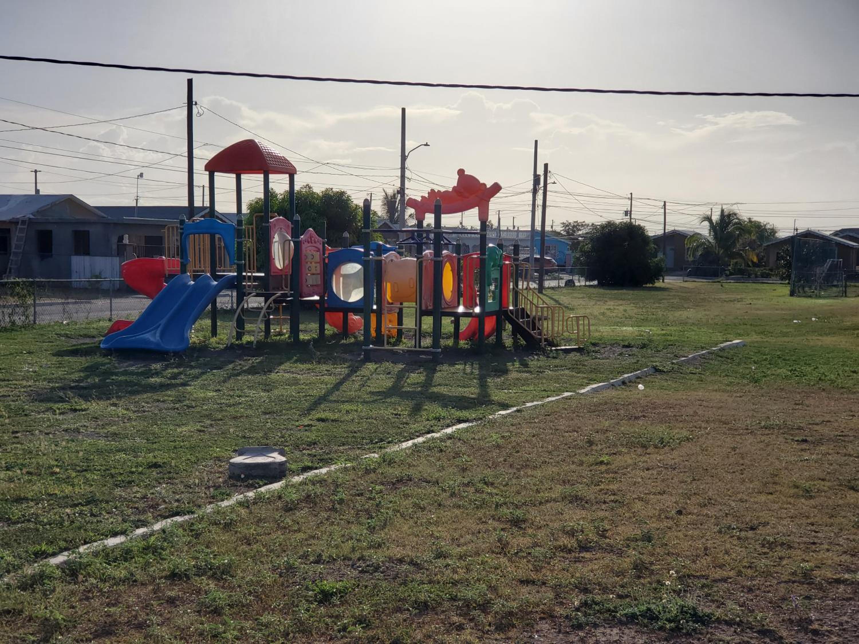Photo 11