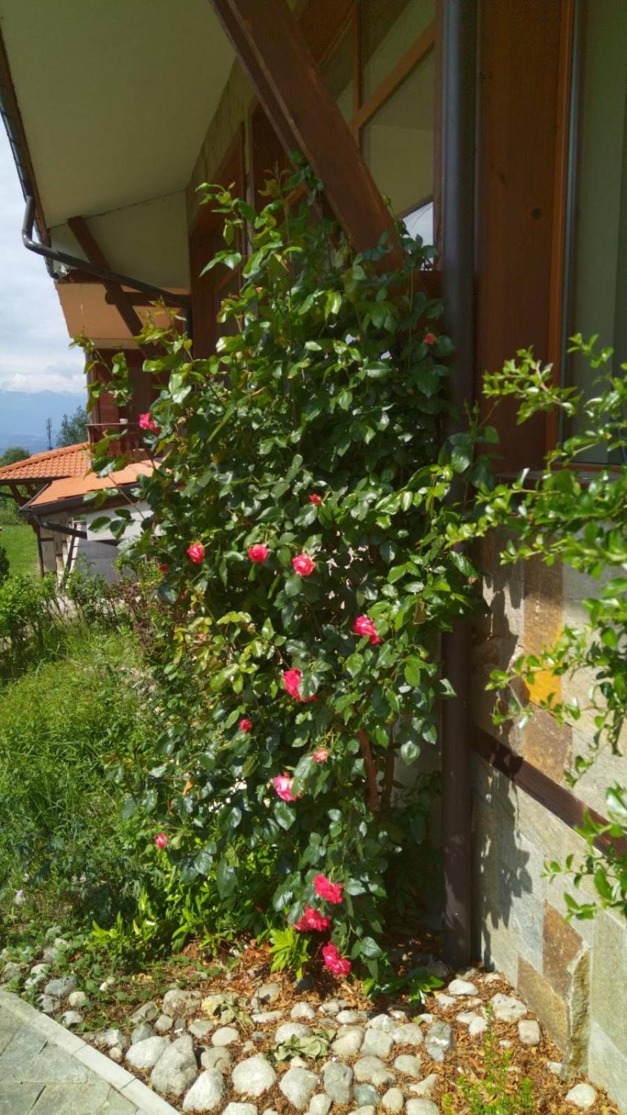 Panorama Bansko