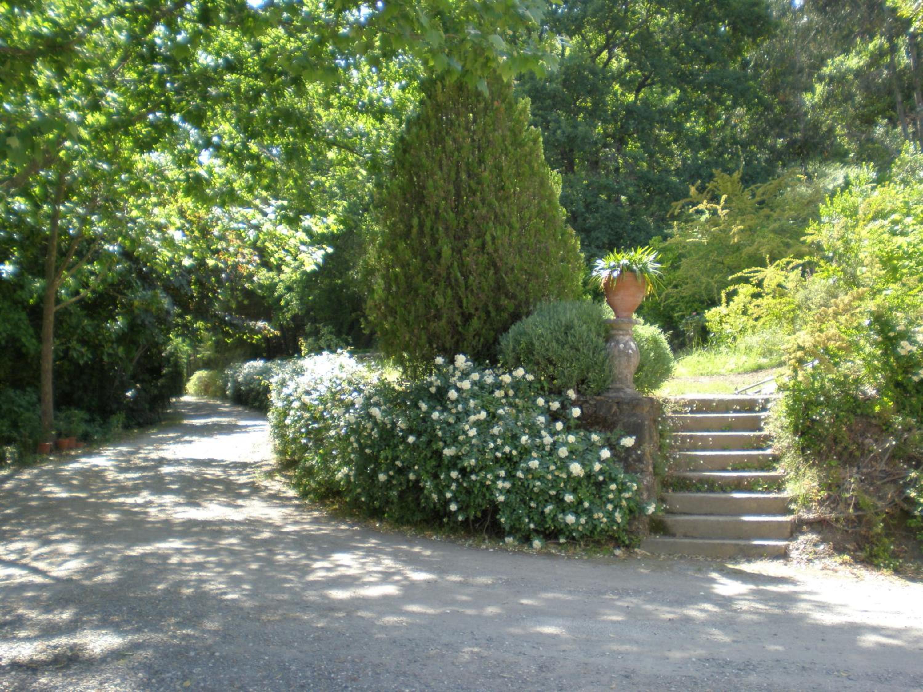 Photo 27