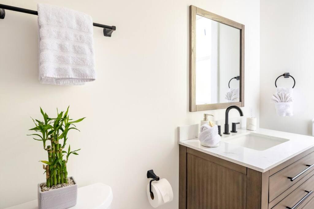 Newly Renovated Home