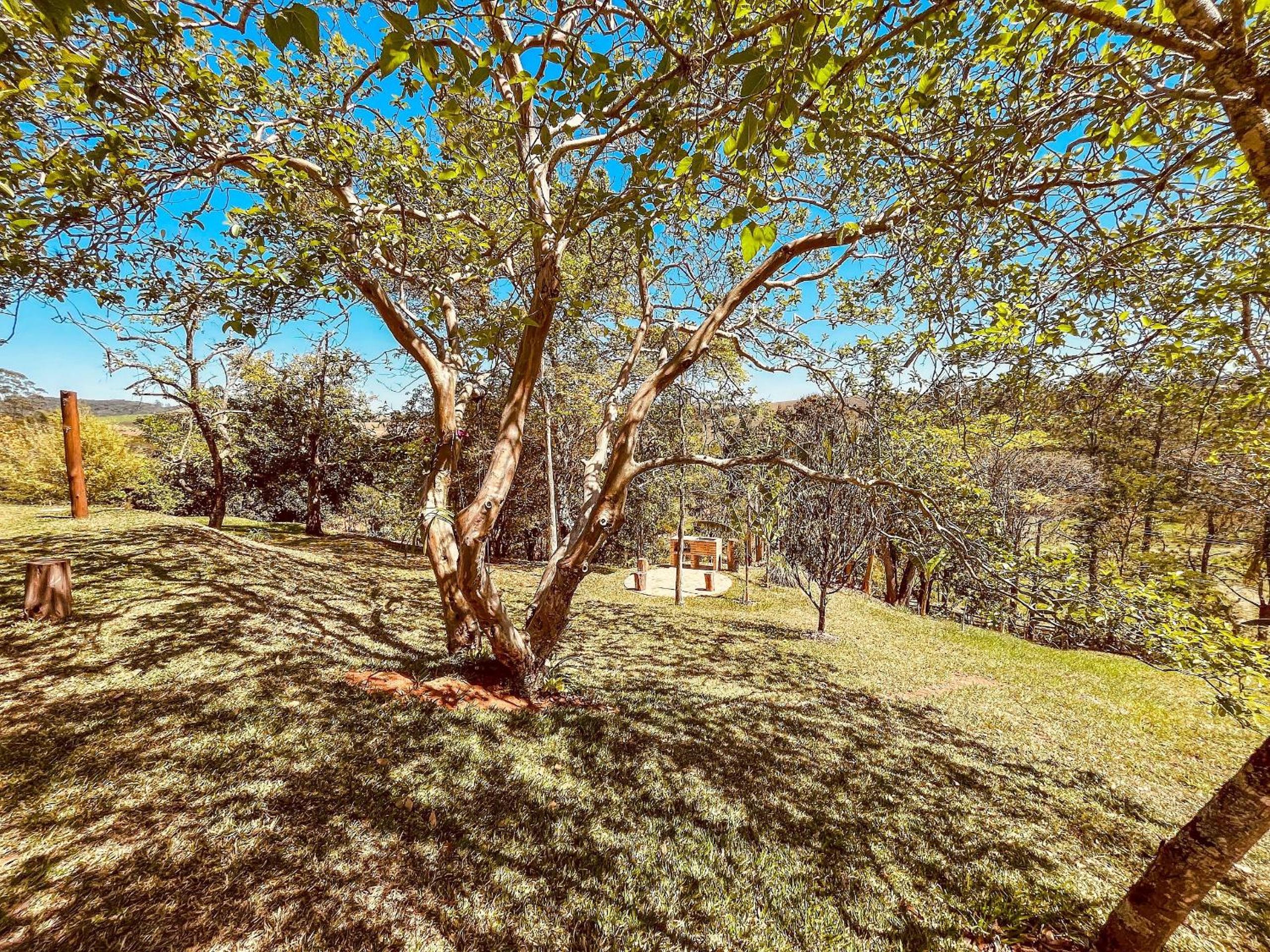 ECO GLAMPING BRASIL Santa Branca SP