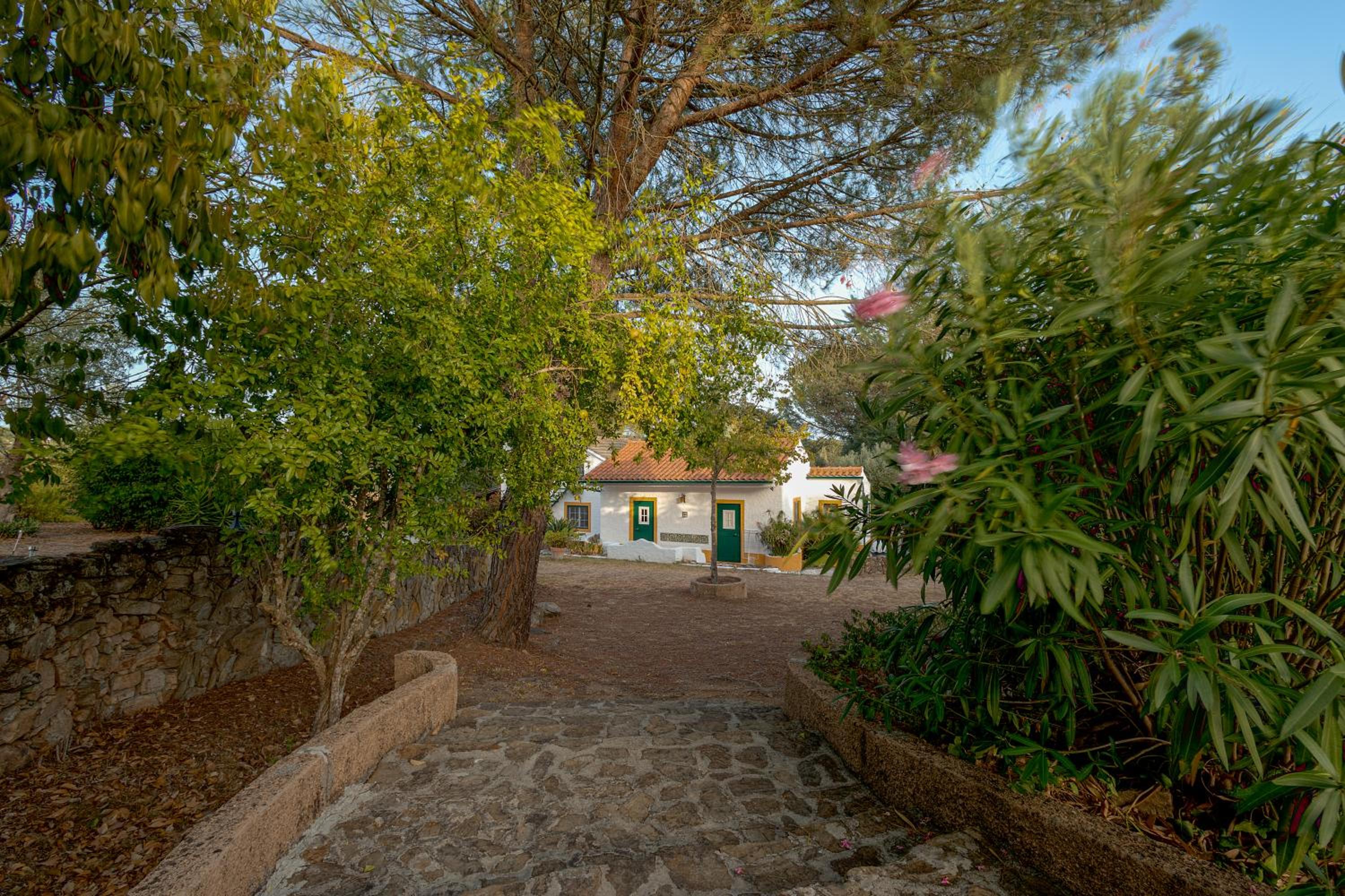 Photo 47