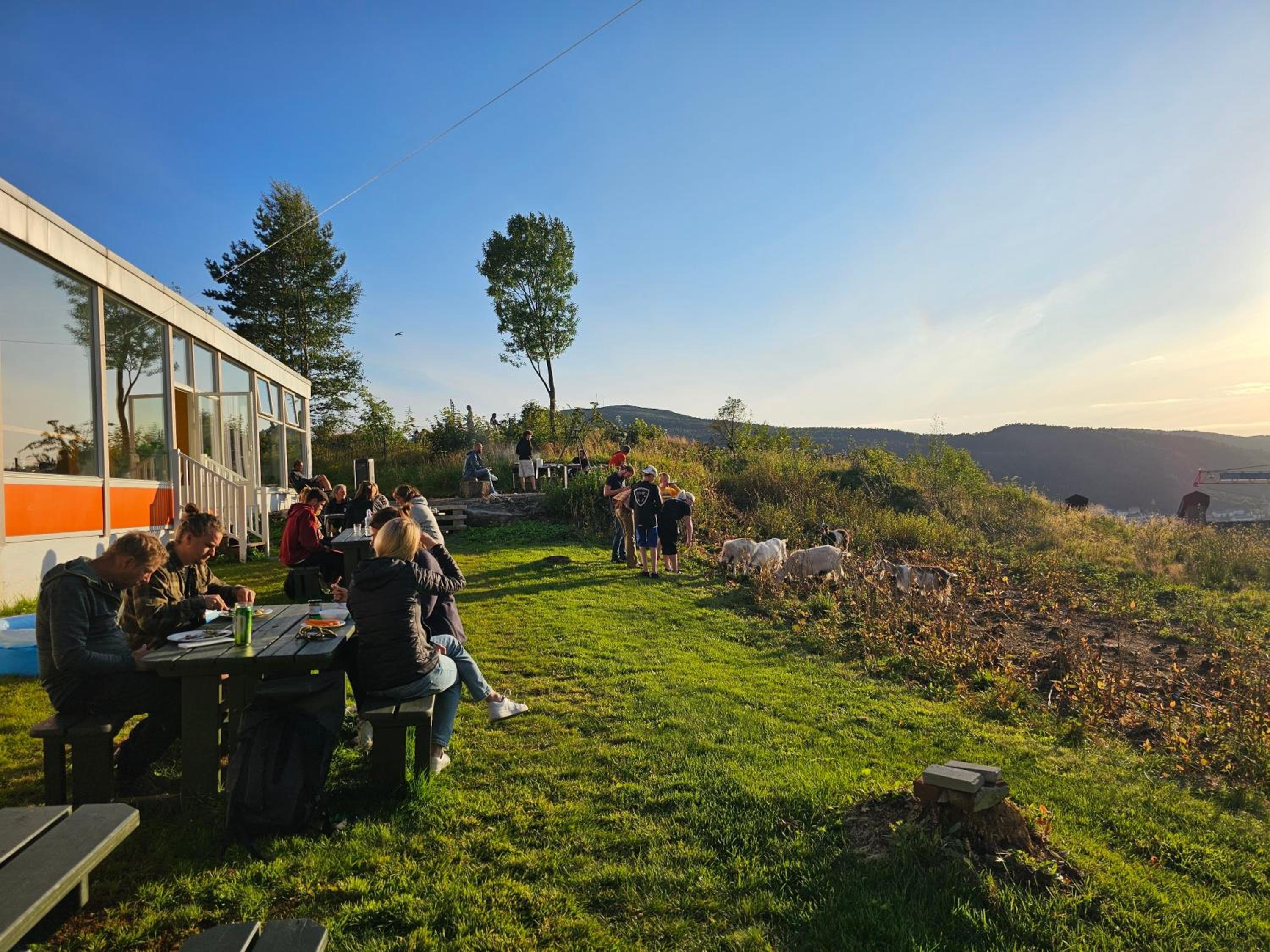 Bergen Hostel Montana