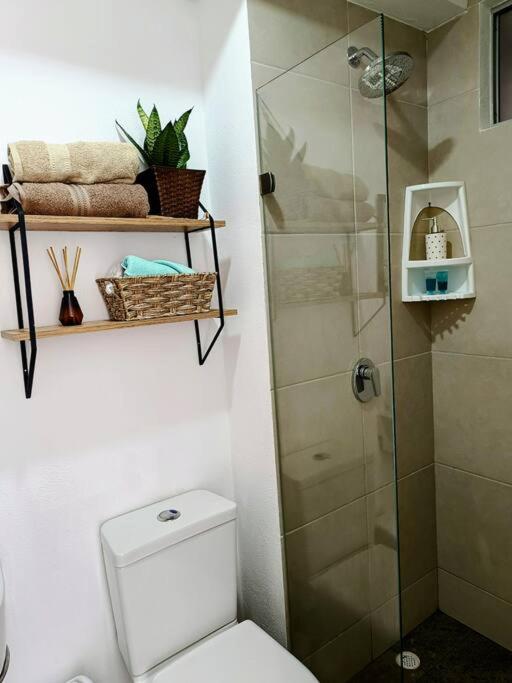 Apartasuite Casa Aura
