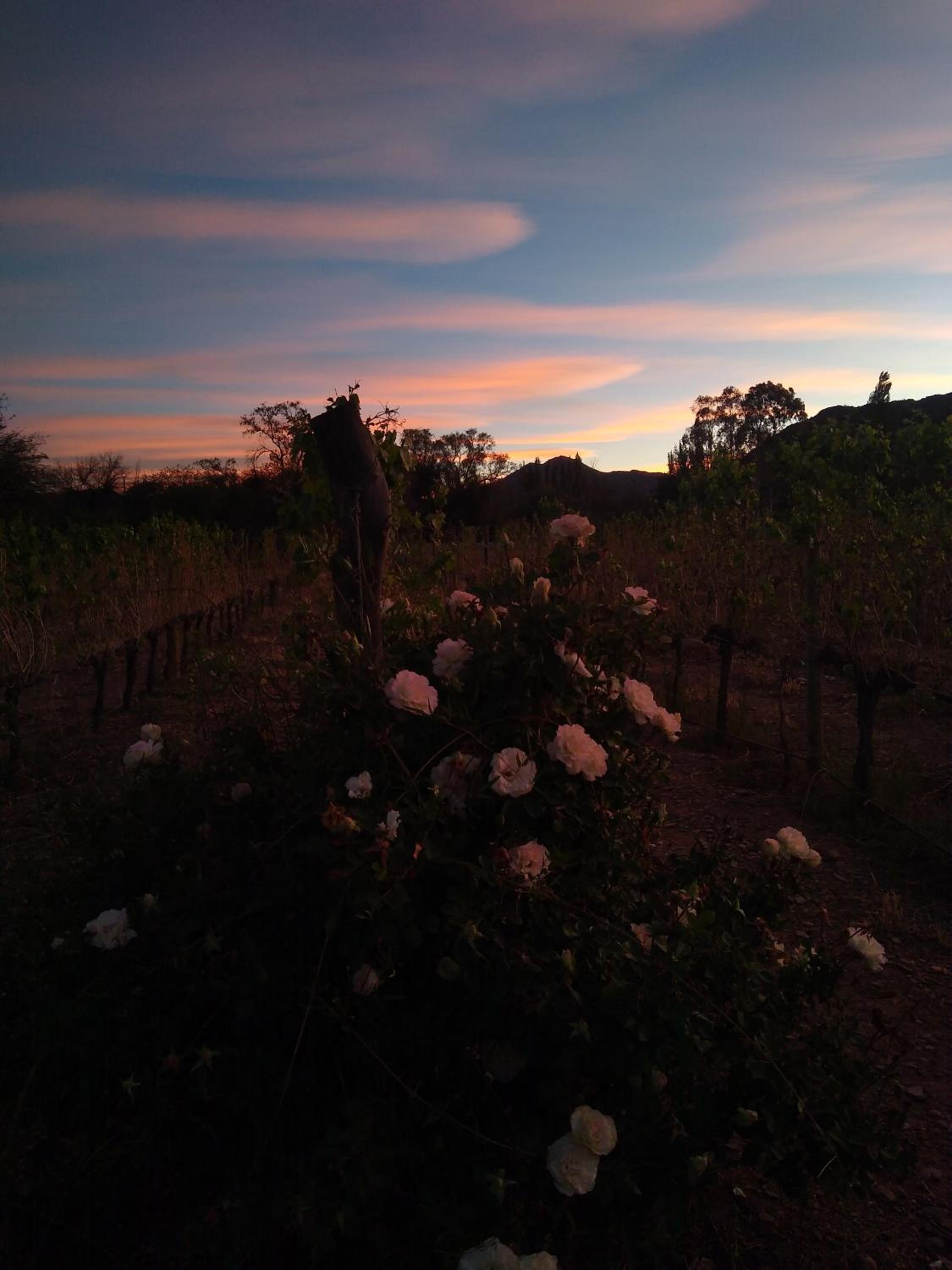 Hospedaje Finca la Encantada