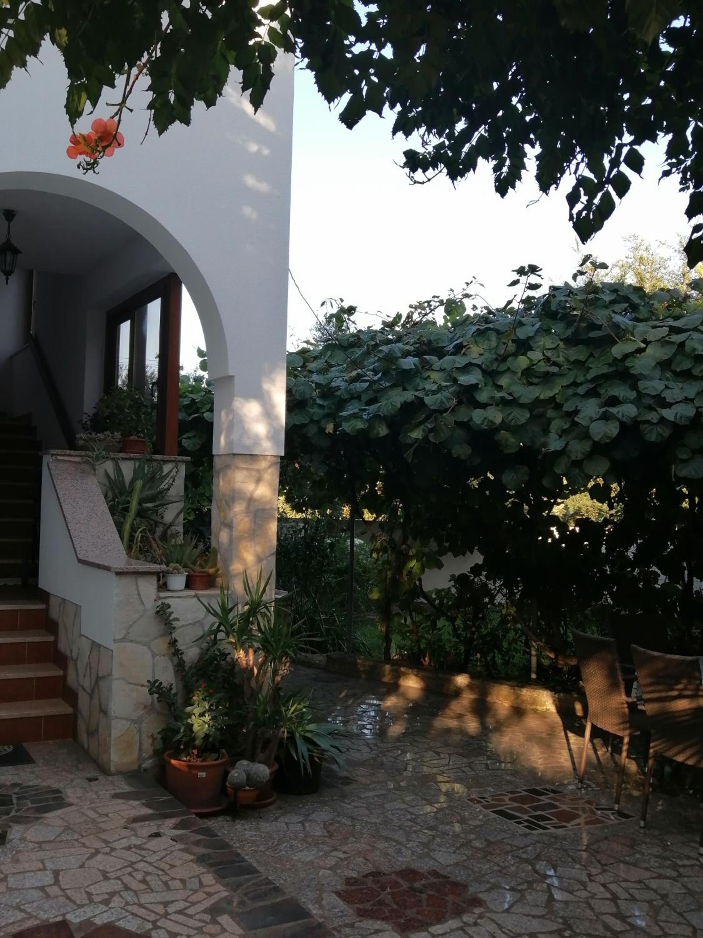 Photo 28