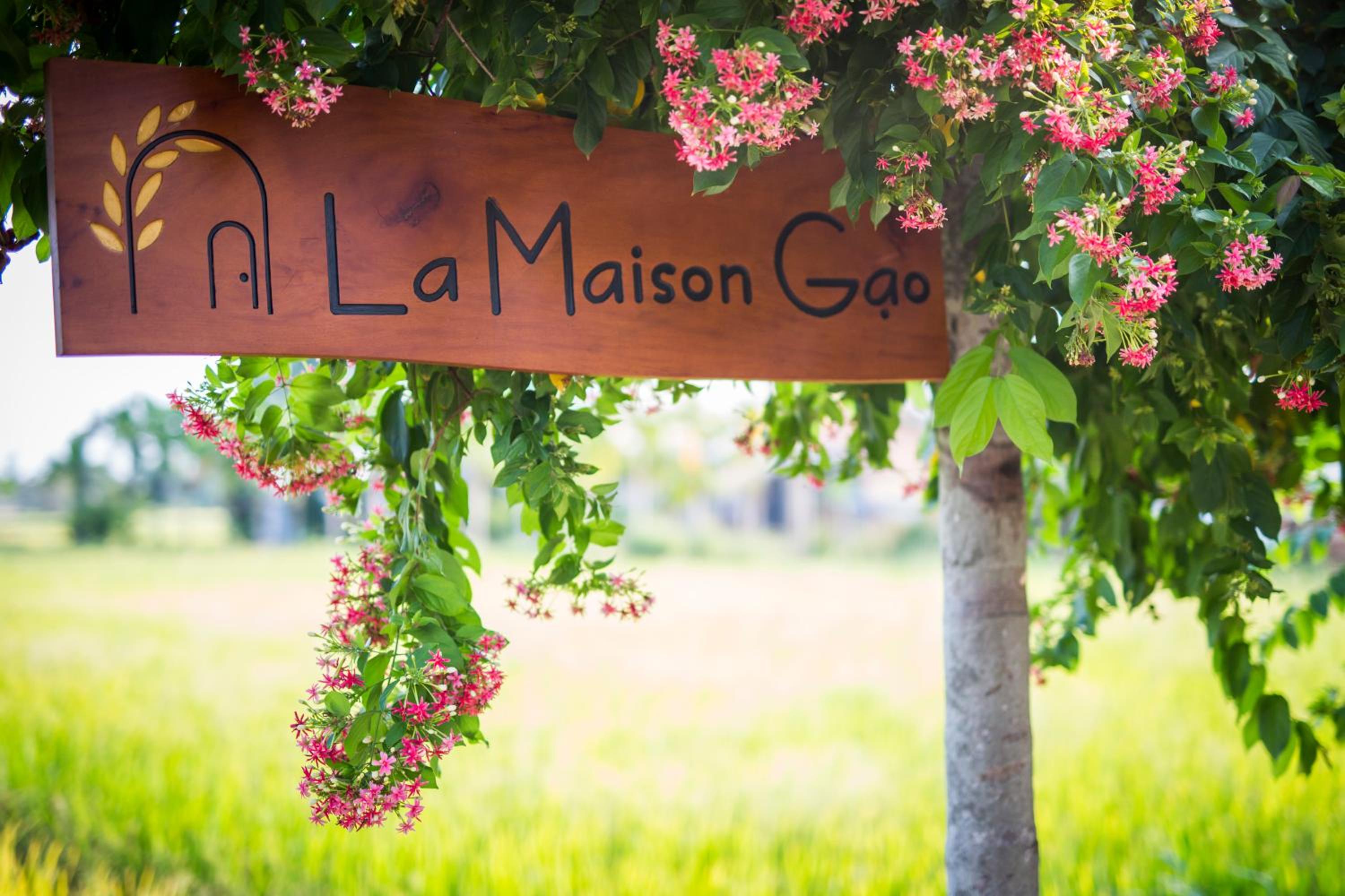 La Maison Gạo, Hoi An view 3