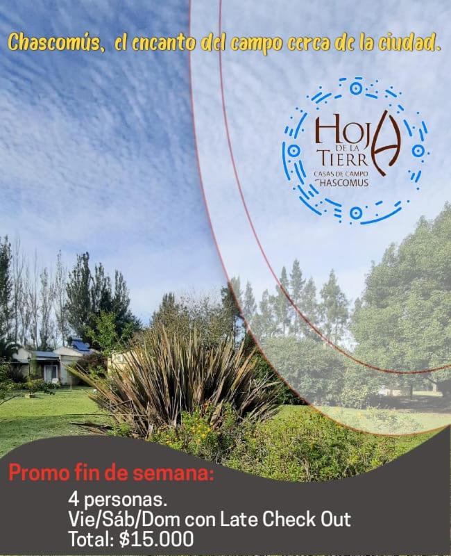 Cabañas Hoja de la Tierra