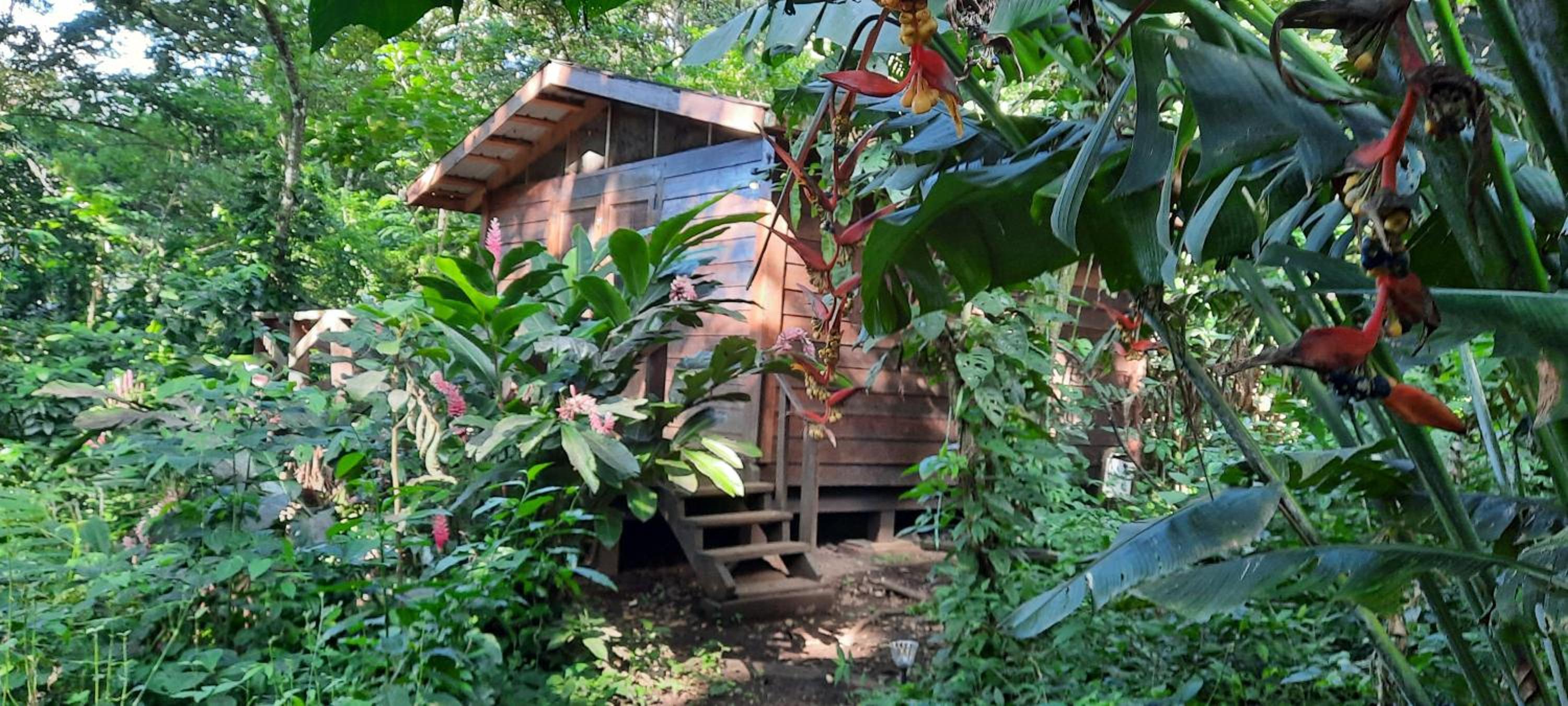 Mombacho Lodge