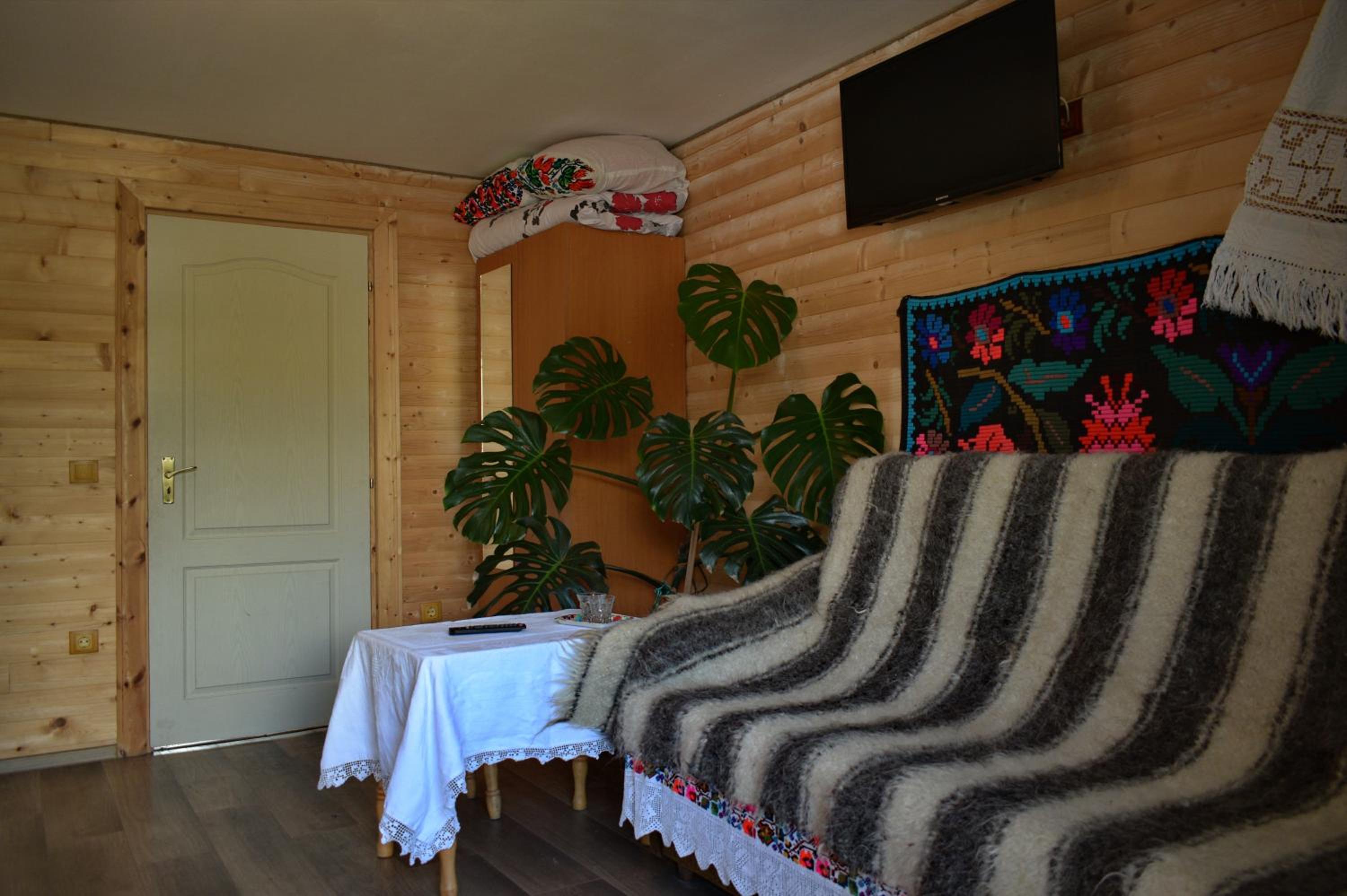 Casa Vladicu view 2