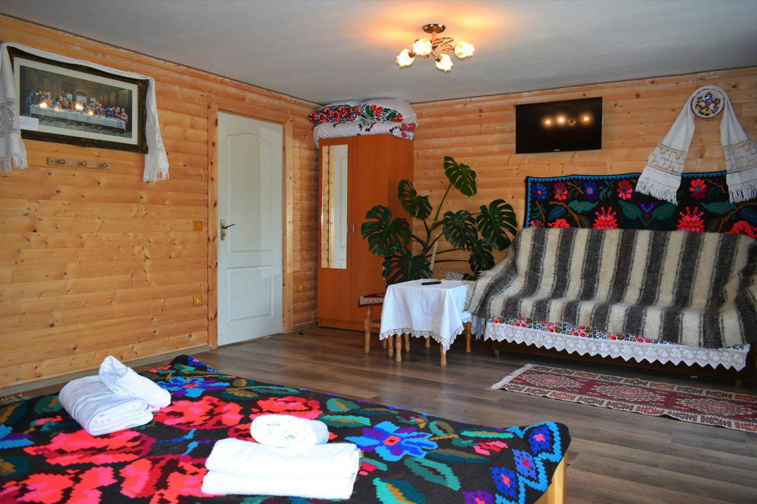Casa Vladicu view 4