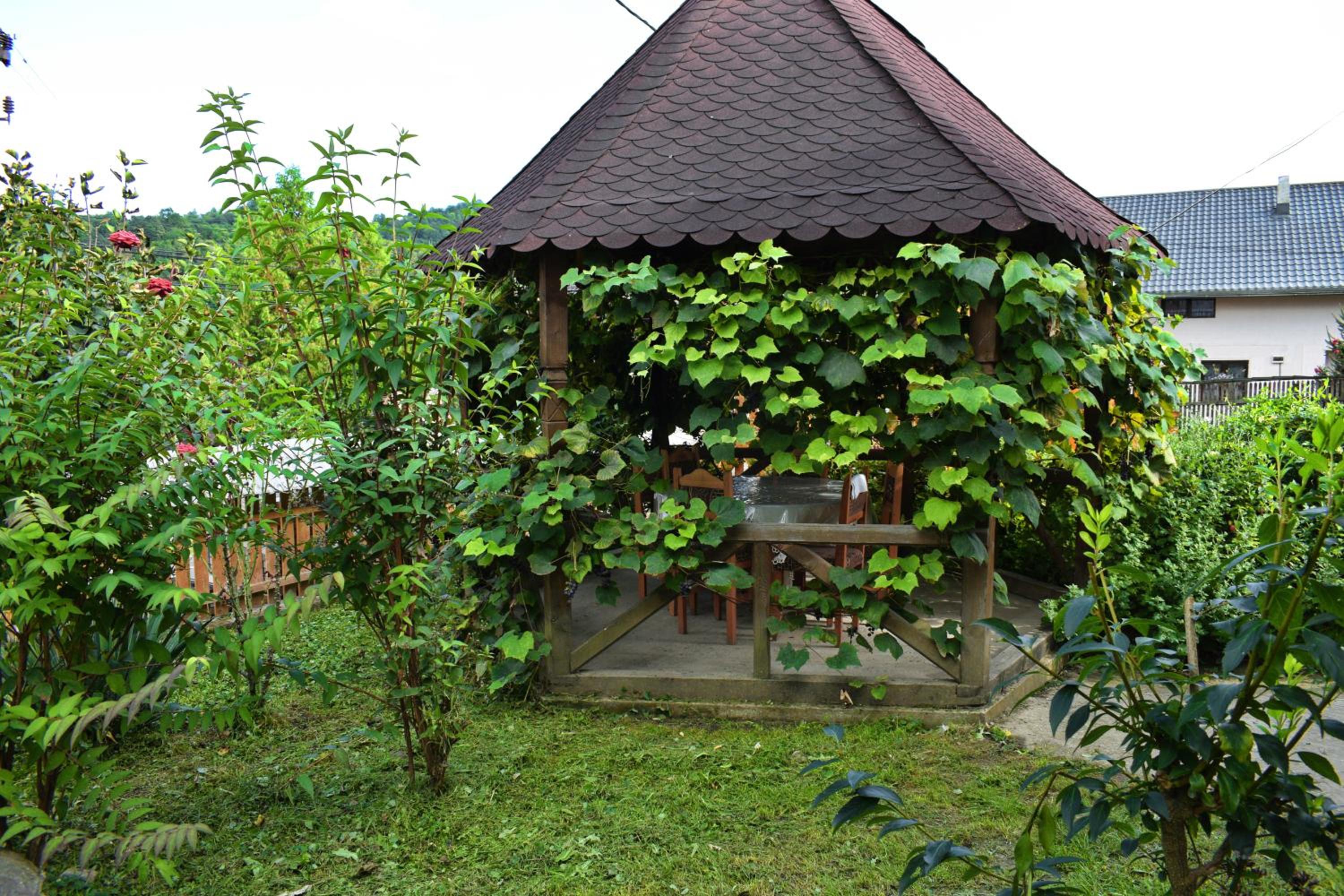 Photo 37