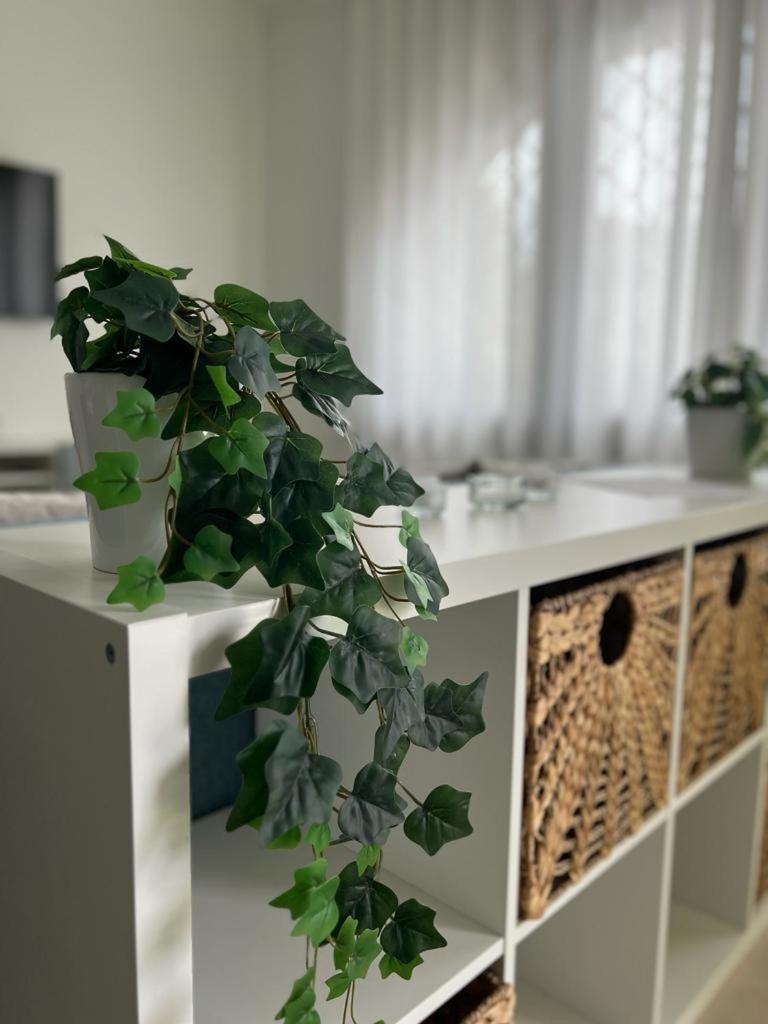 Residenze Romavi photo 5