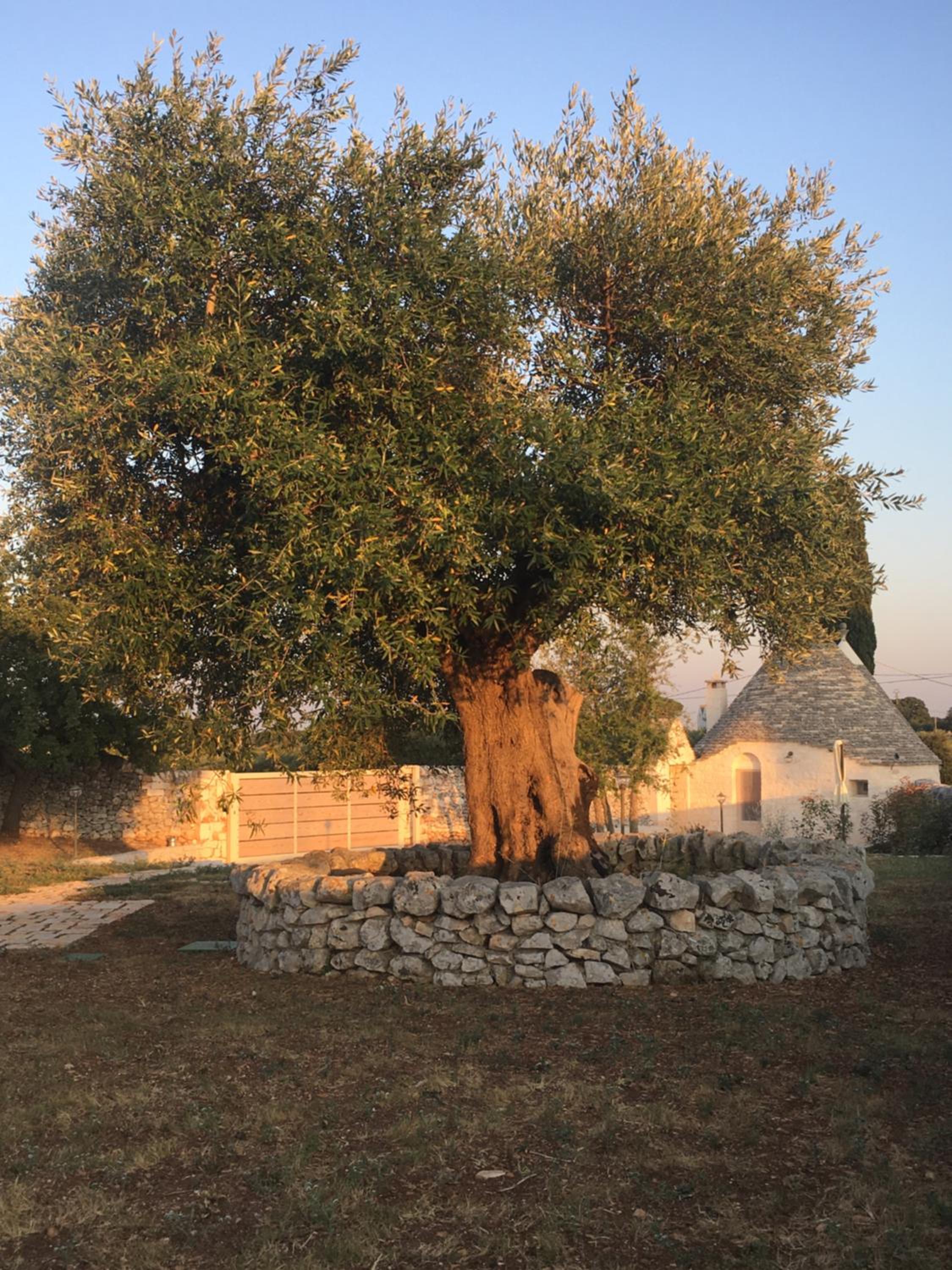 Photo 20