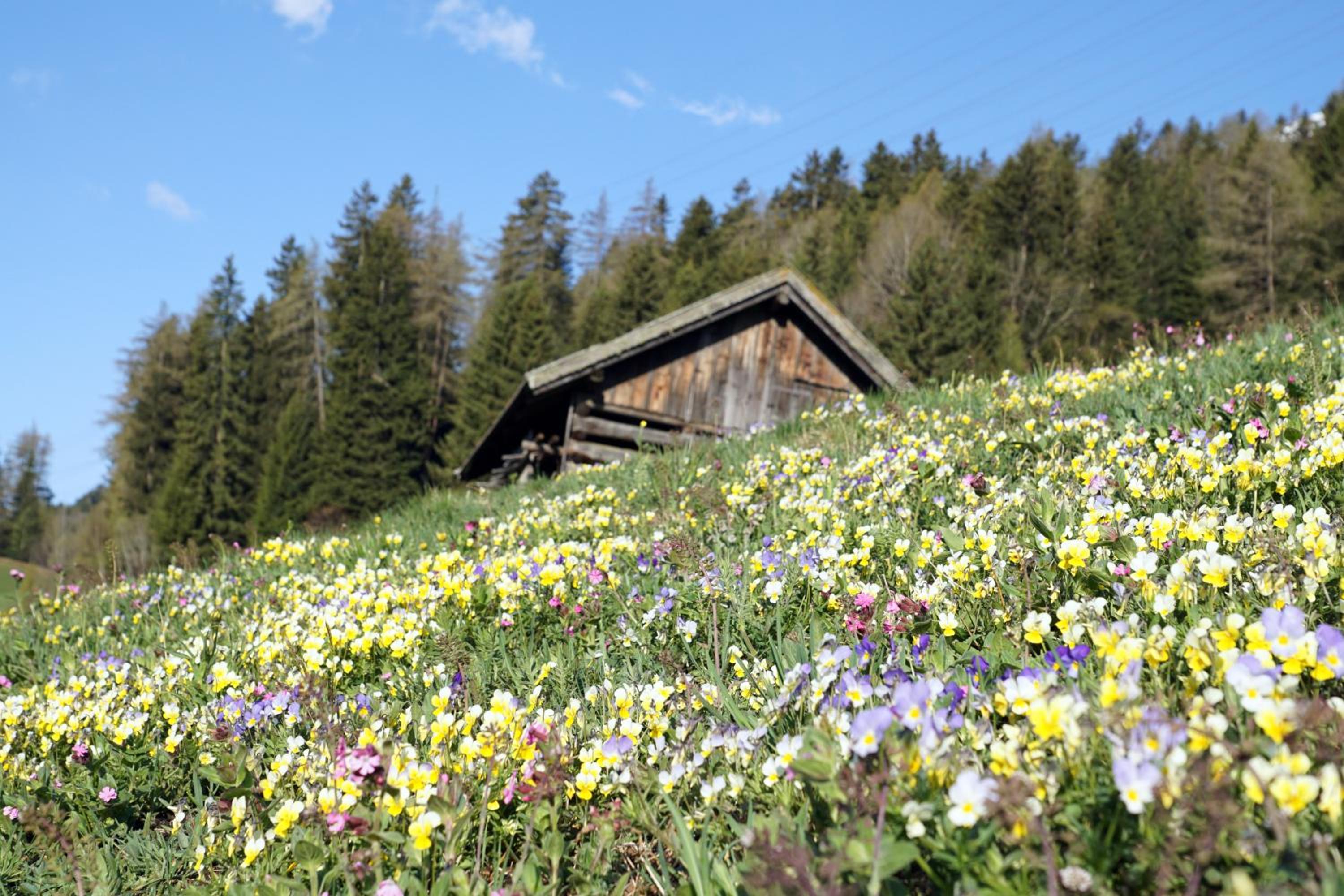 Landhaus Eiter