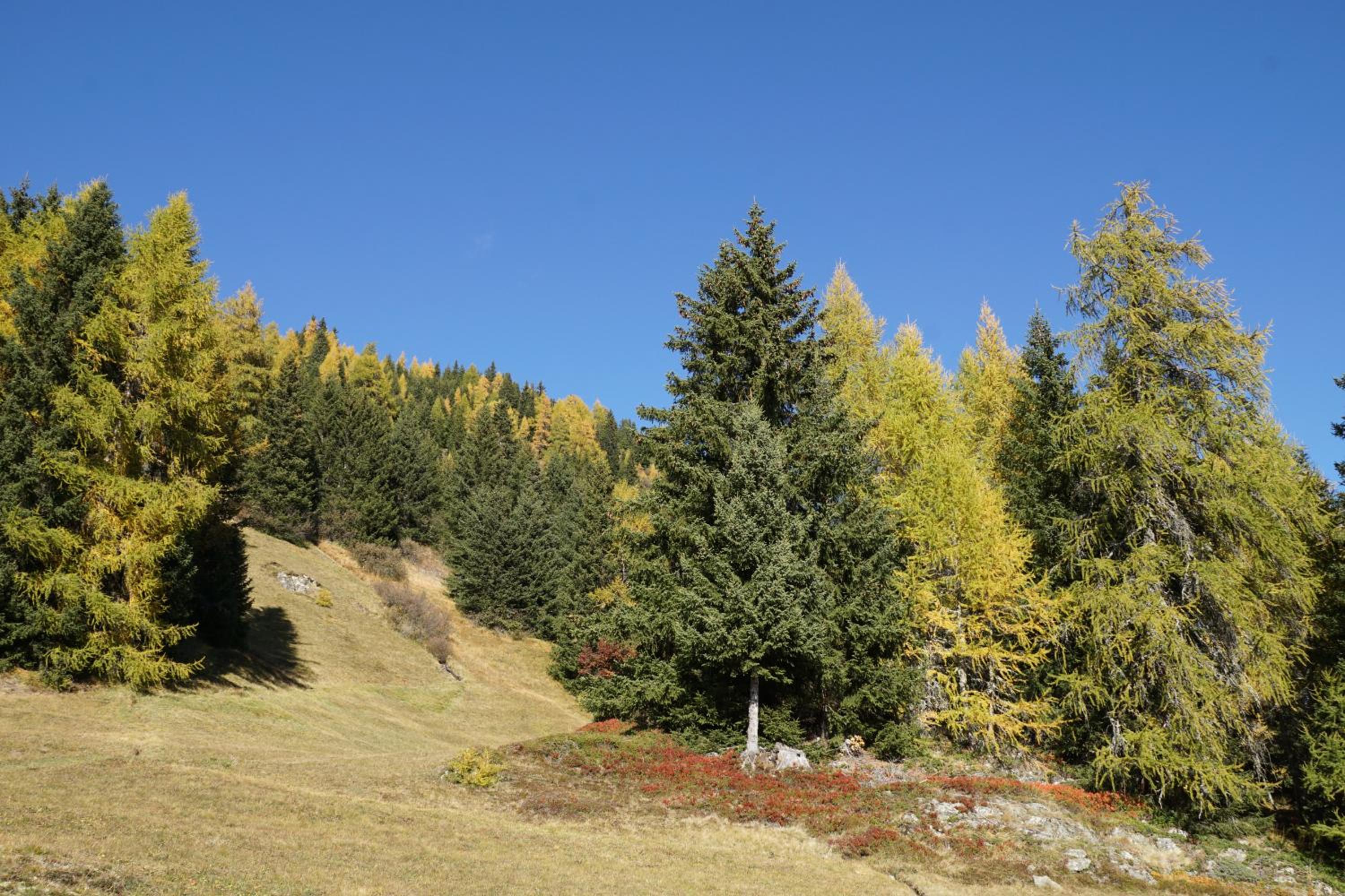 Landhaus Eiter