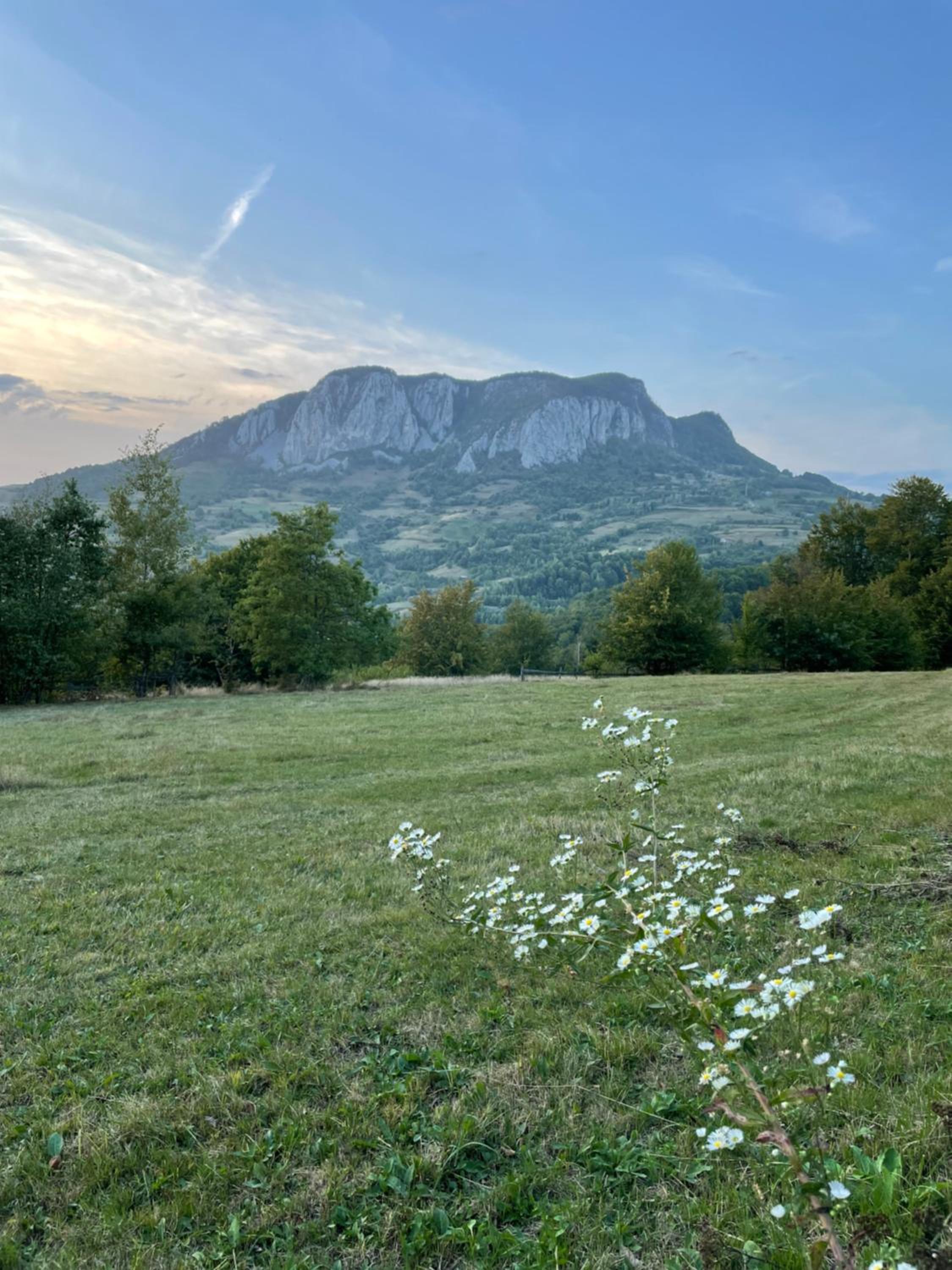 Greta Hillside