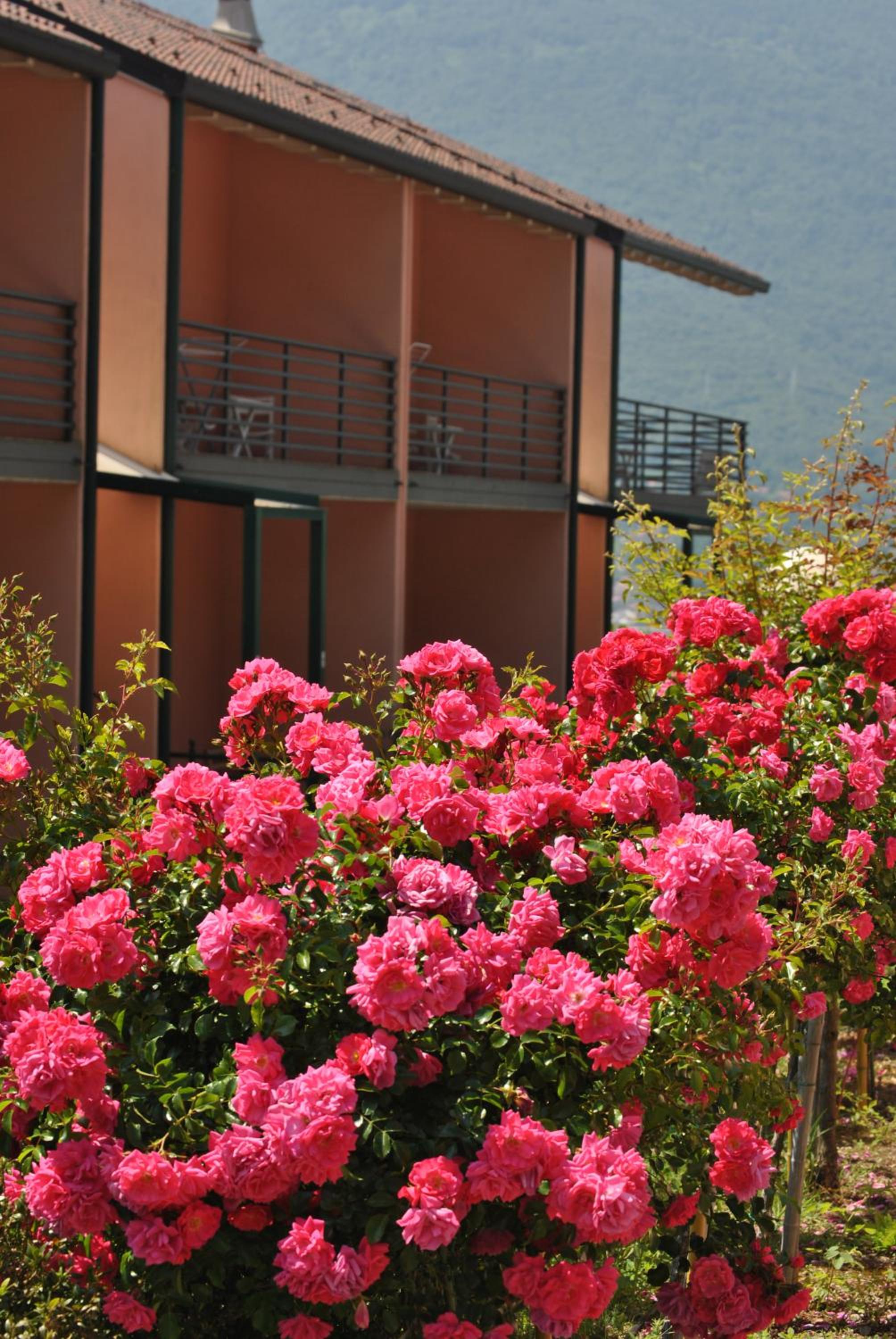 Residence Oasi Del Viandante