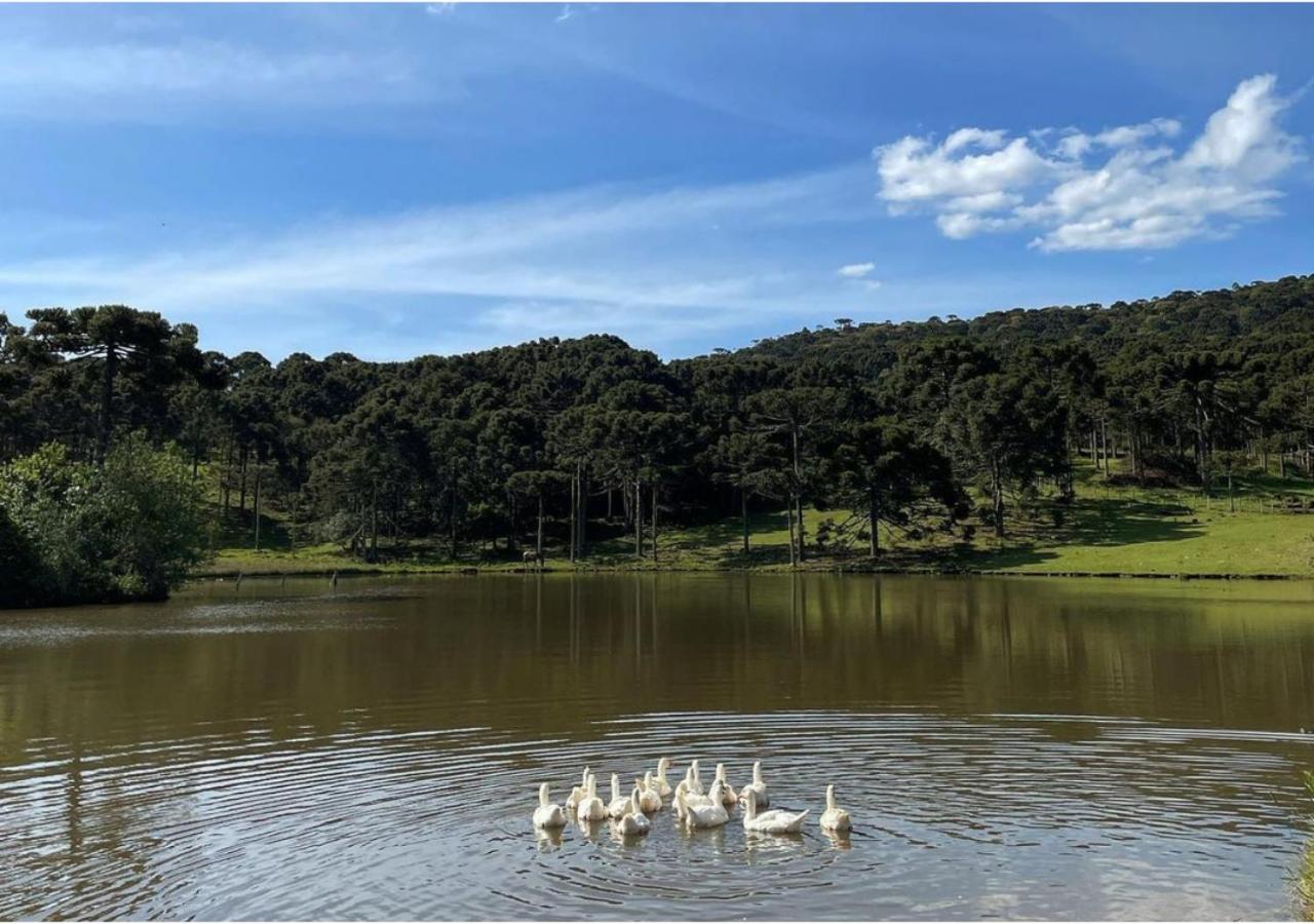 Fazenda Santa Rita Turismo Rural