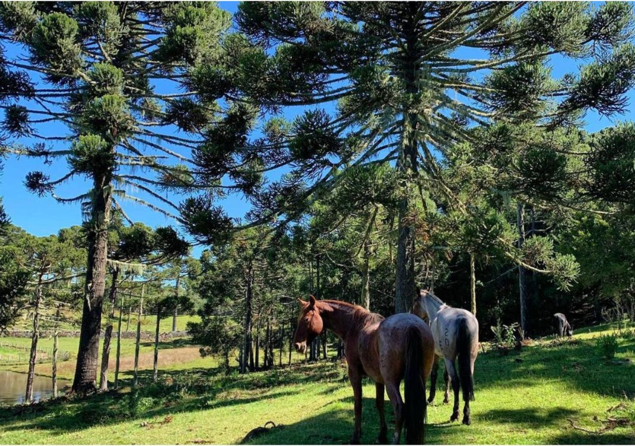 Fazenda Santa Rita Turismo Rural