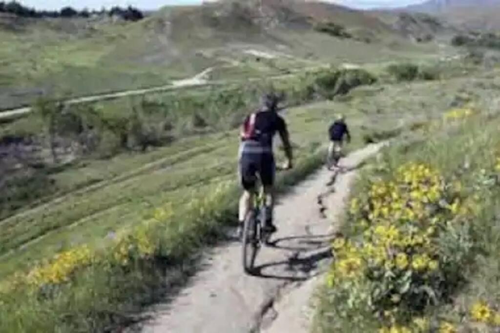 Ocean Wave by Boise River + 2 Cruiser Bikes! view 2