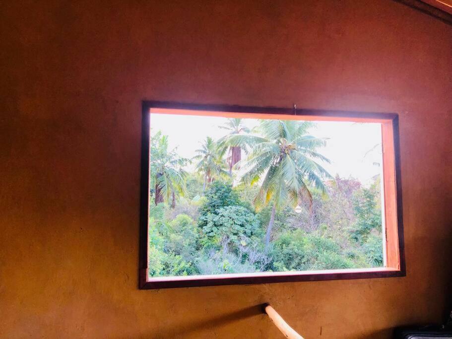 Casa da mata- Vista linda pra mata e jardim privativo