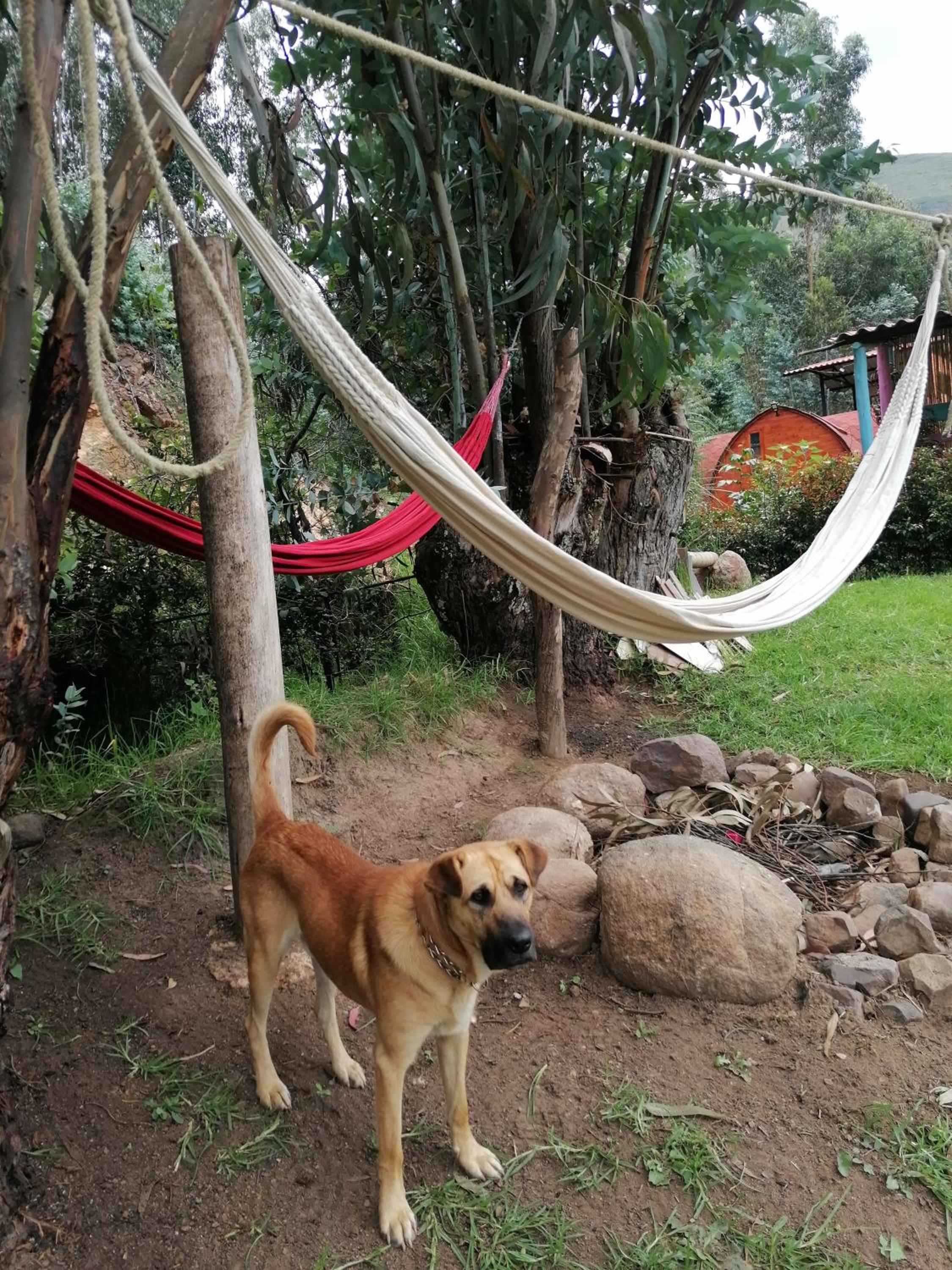 Hospedaje Cabañas El sendero del caracol 5p