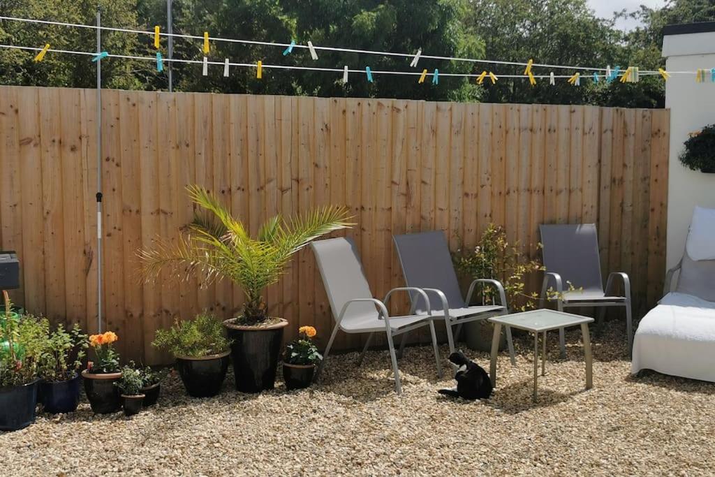 Chy Lowen Private rooms with kitchen, dining room and garden access close to Eden Project & beaches view 3