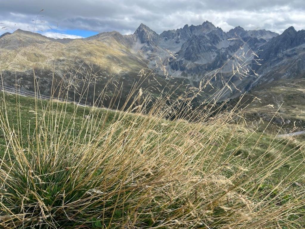 Photo 44