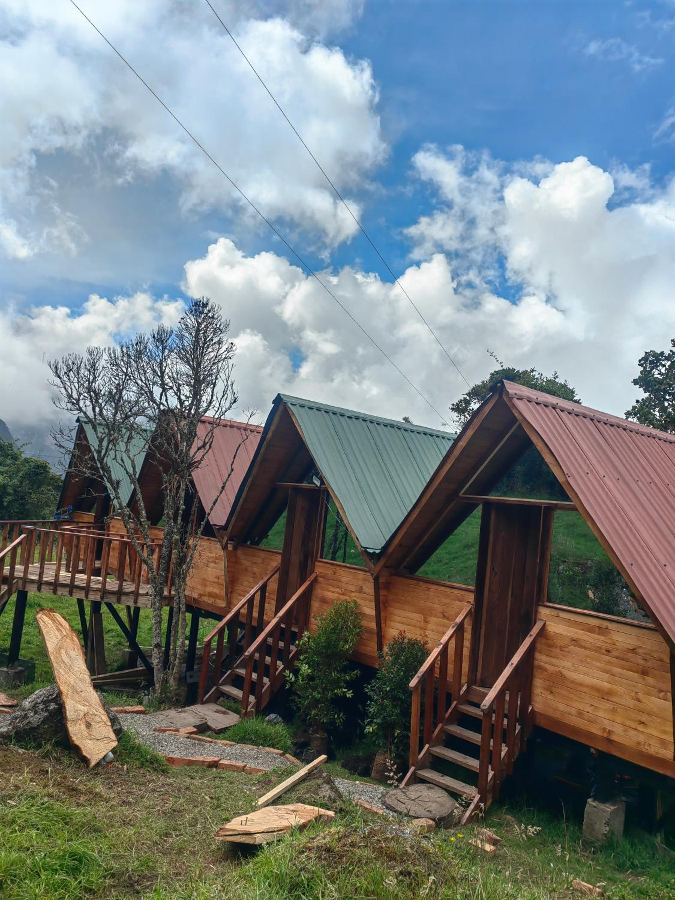 Cabañas del bosque
