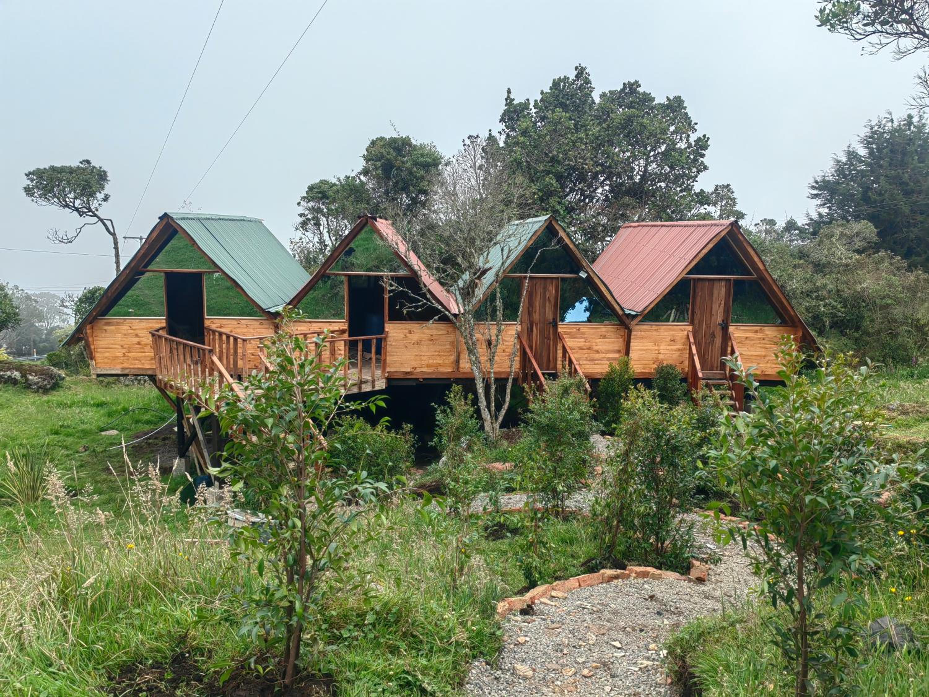 Cabañas del bosque