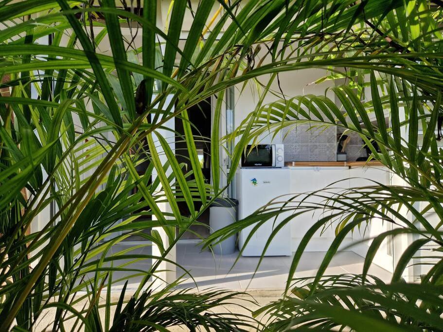Le Rhum Antique view 2