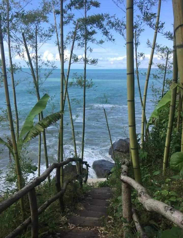 BANI tsikhisdziri