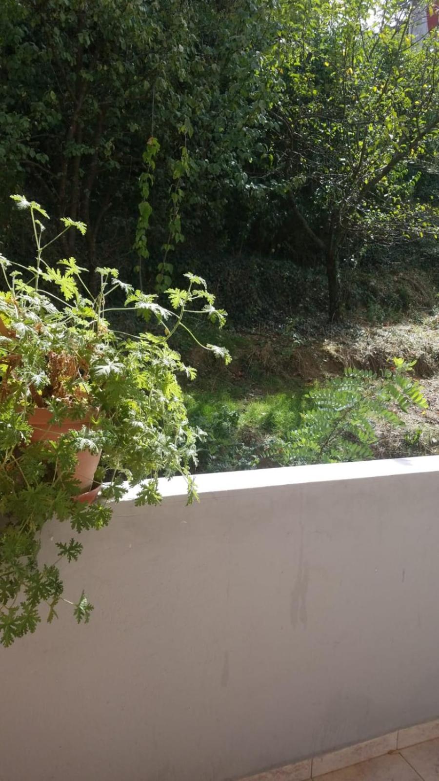 Guesthouse Nora
