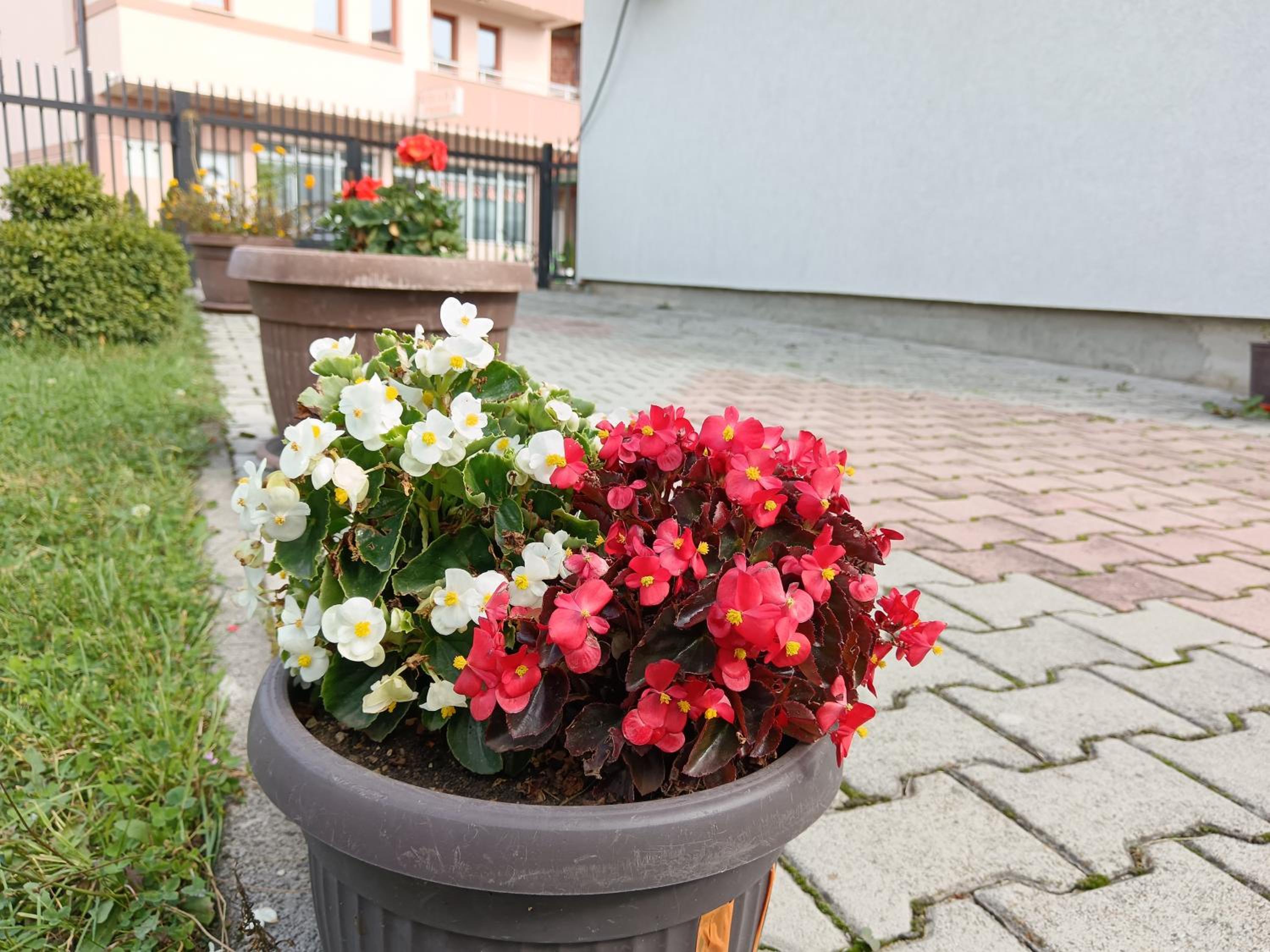 Photo 31