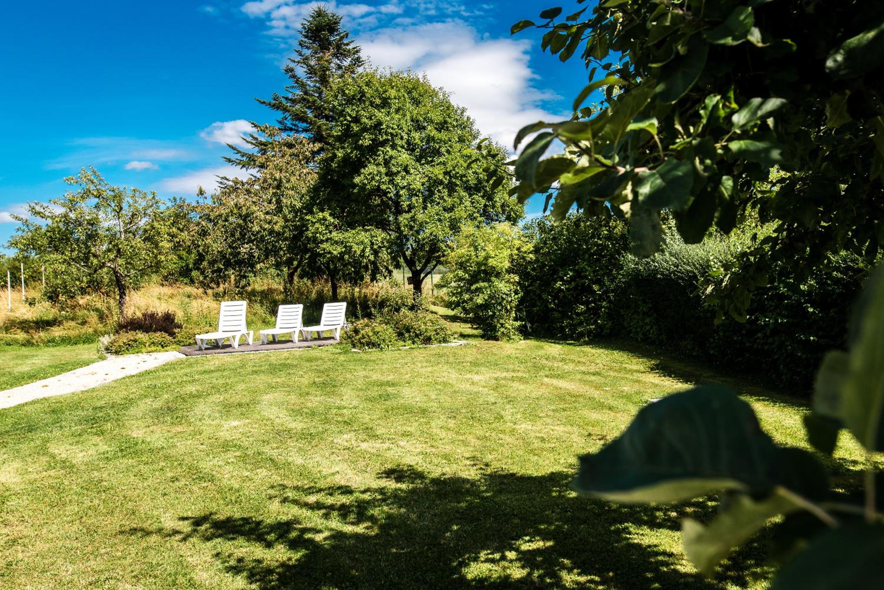 Das Blaue Haus mitten im Grünen - our Blue House surrounded by greenery