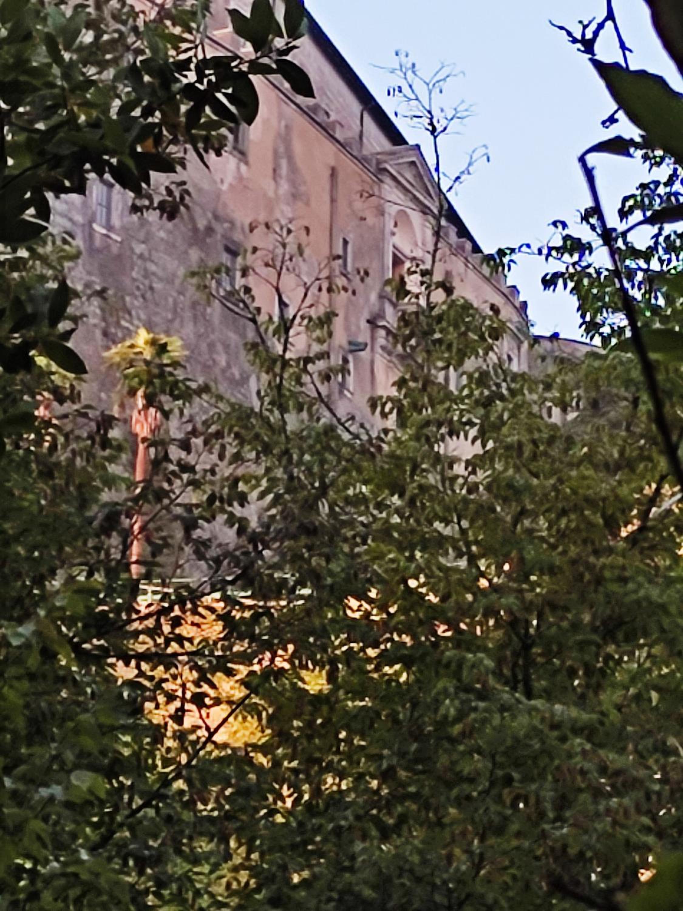 CasaMicia