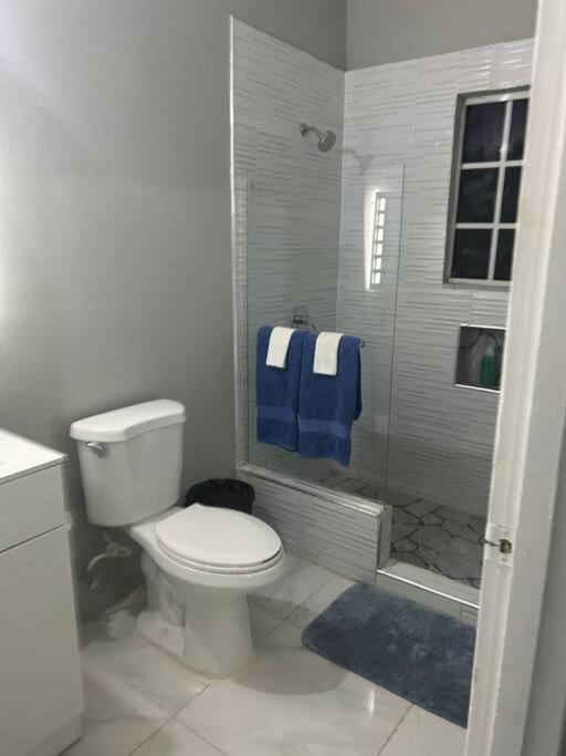 Oak Villa Montego Bay 2 Entire view 4