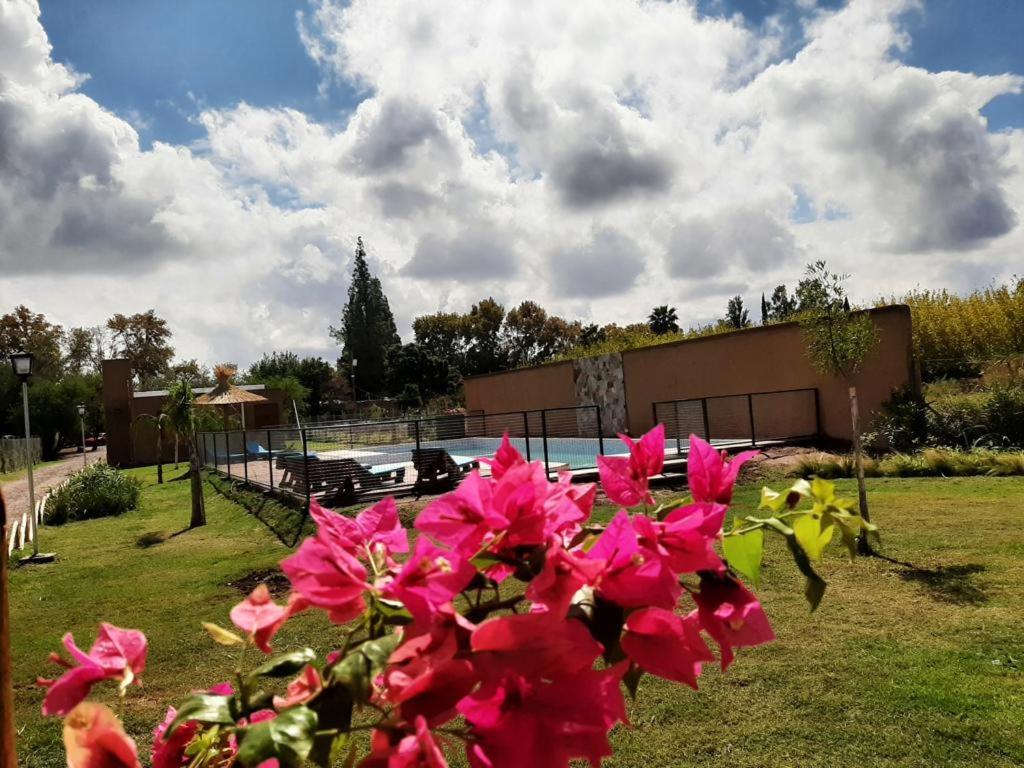Complejo ROSA OLIVA - Image 4