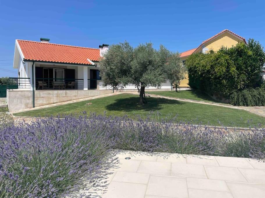Quinta de Toubres view 5
