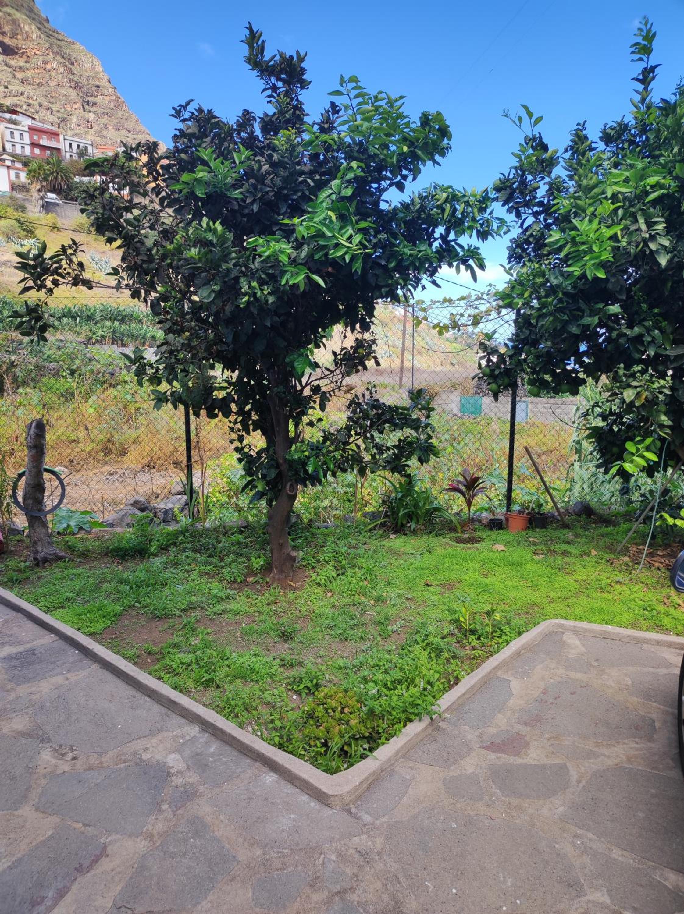 CASA DONELA