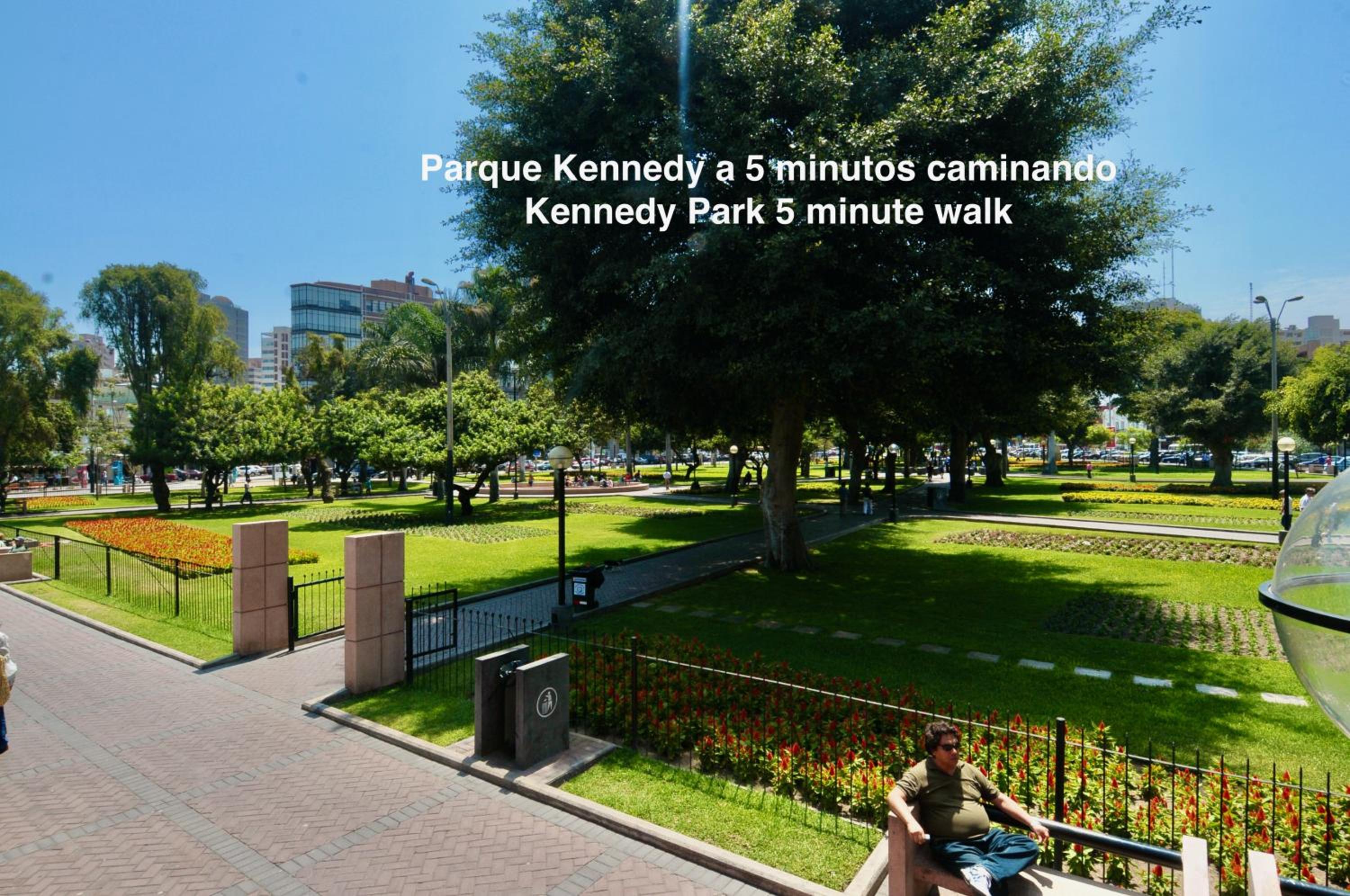 Photo 47