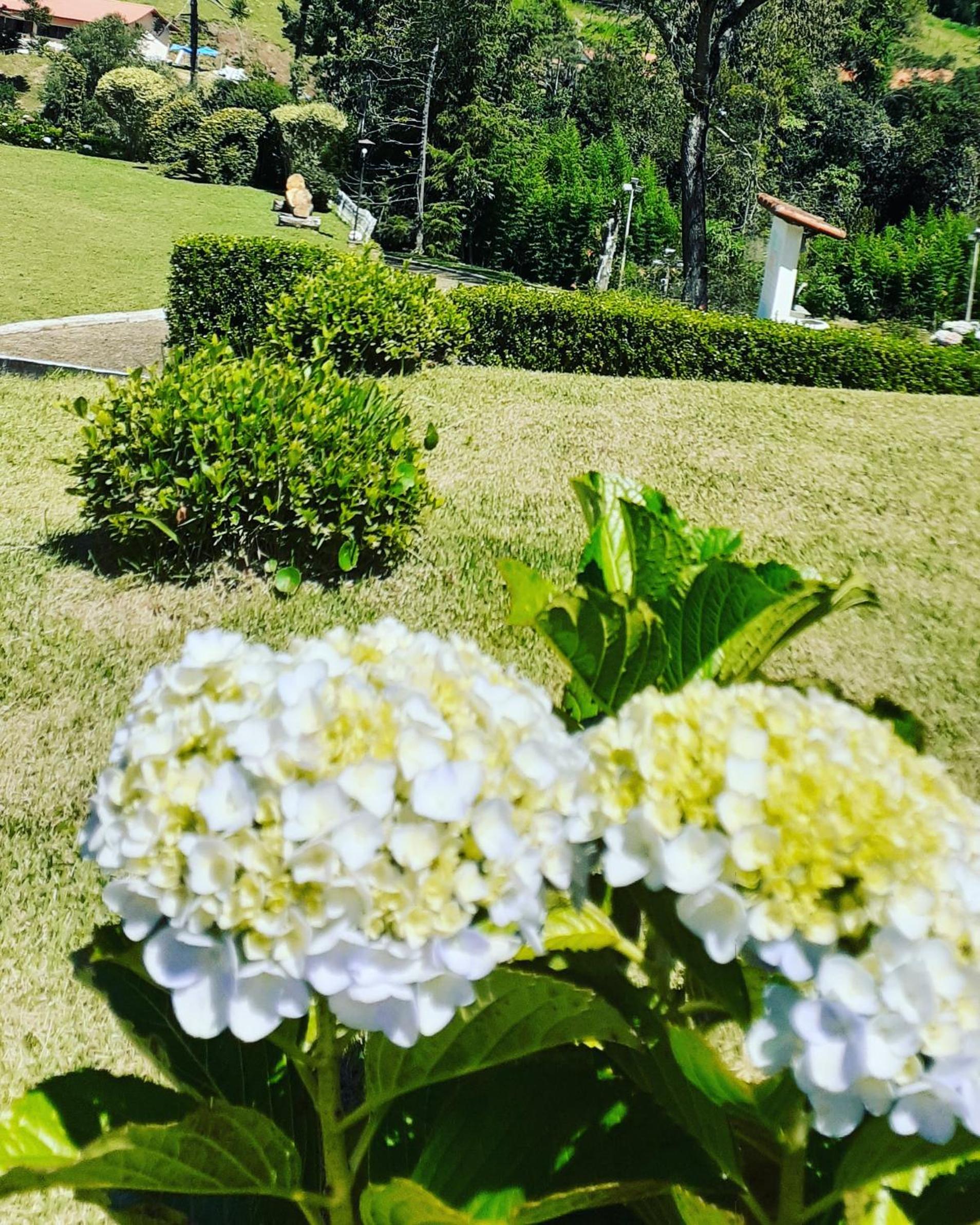 Pousada Pedacinho do Ceu - casa inteira