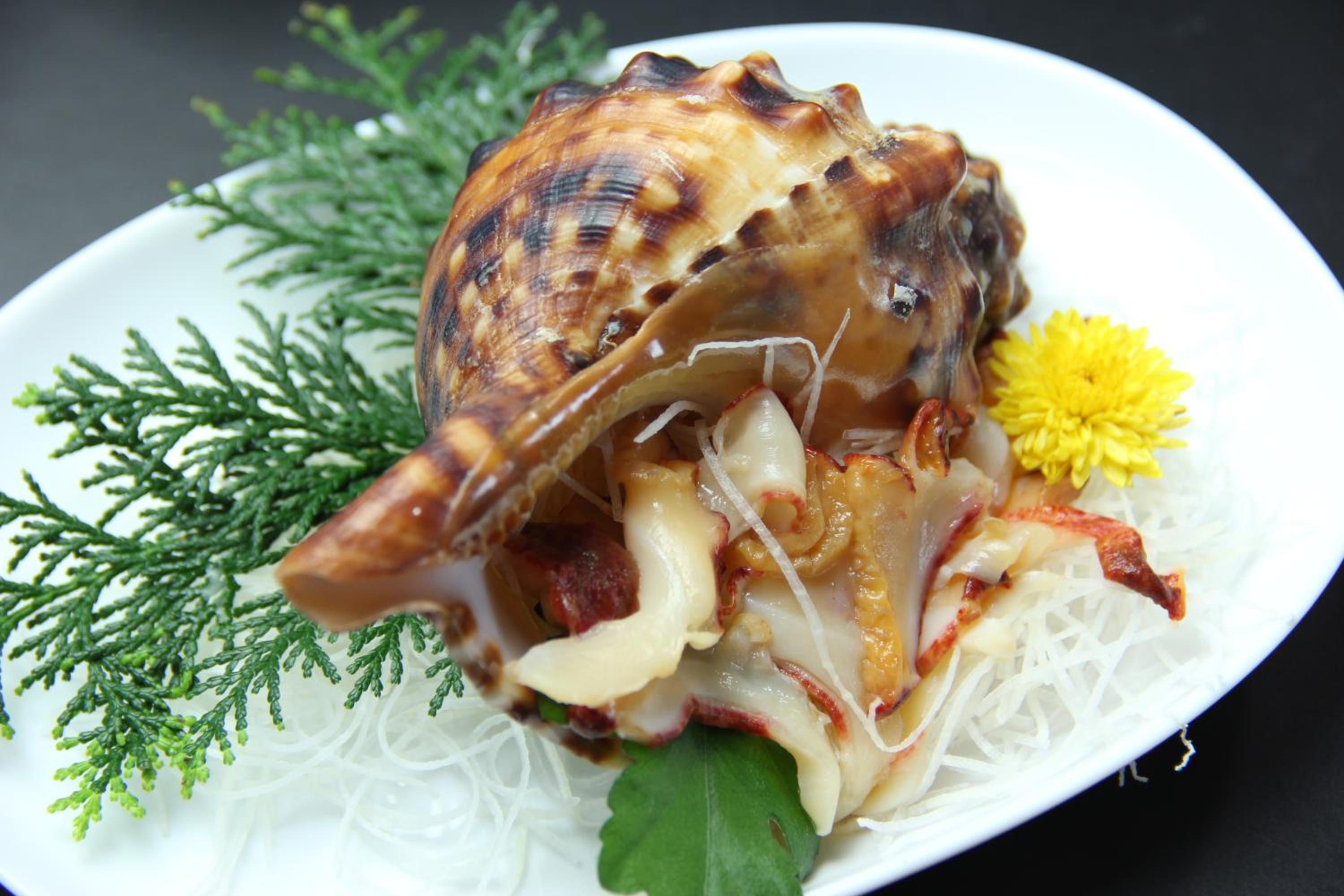 Yamashichi