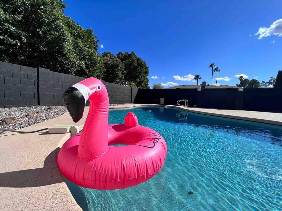 Stylish home in the heart of Tempe w/ private pool view 5