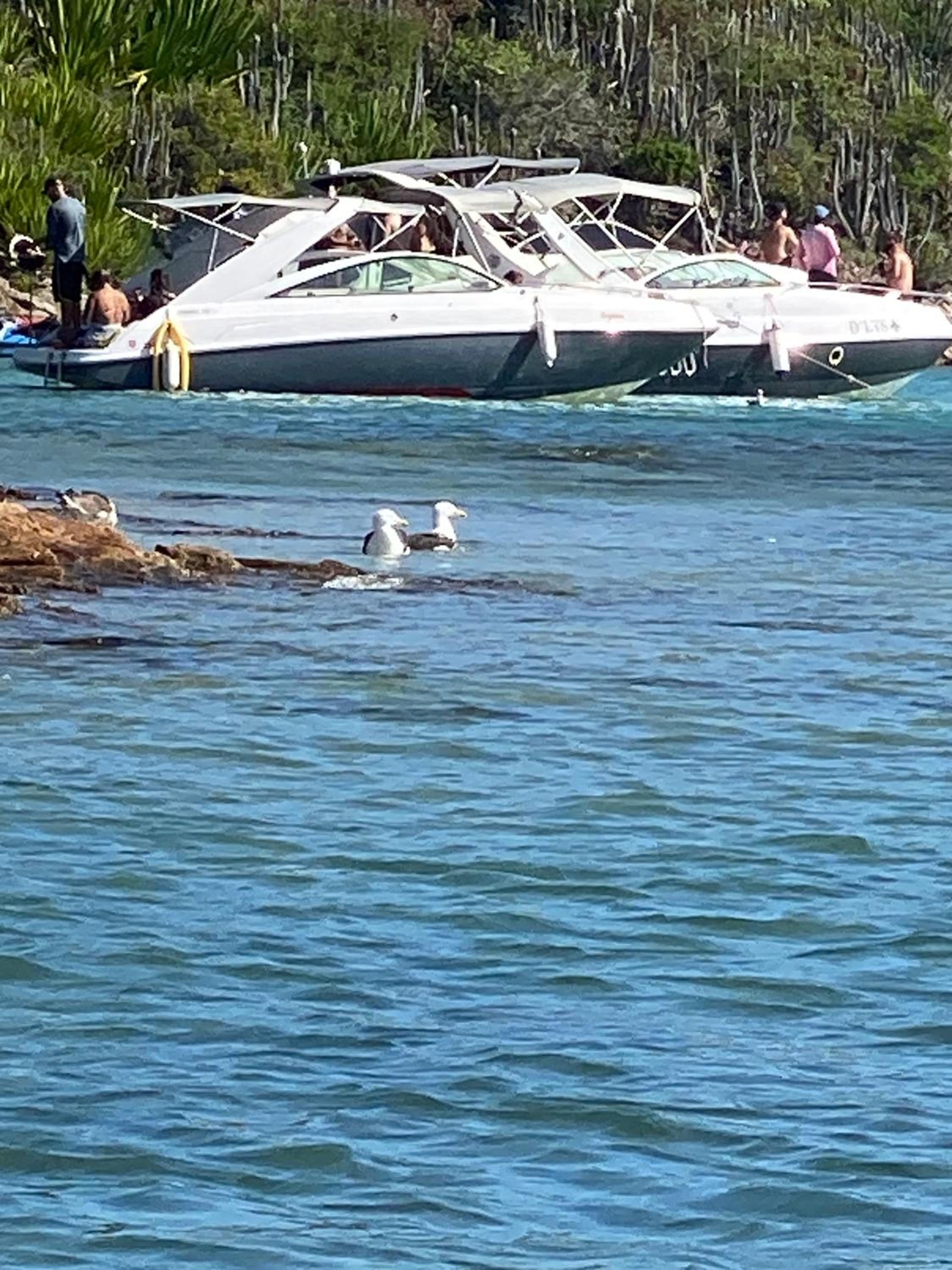 CASA DE REVISTA em Cabo Frio