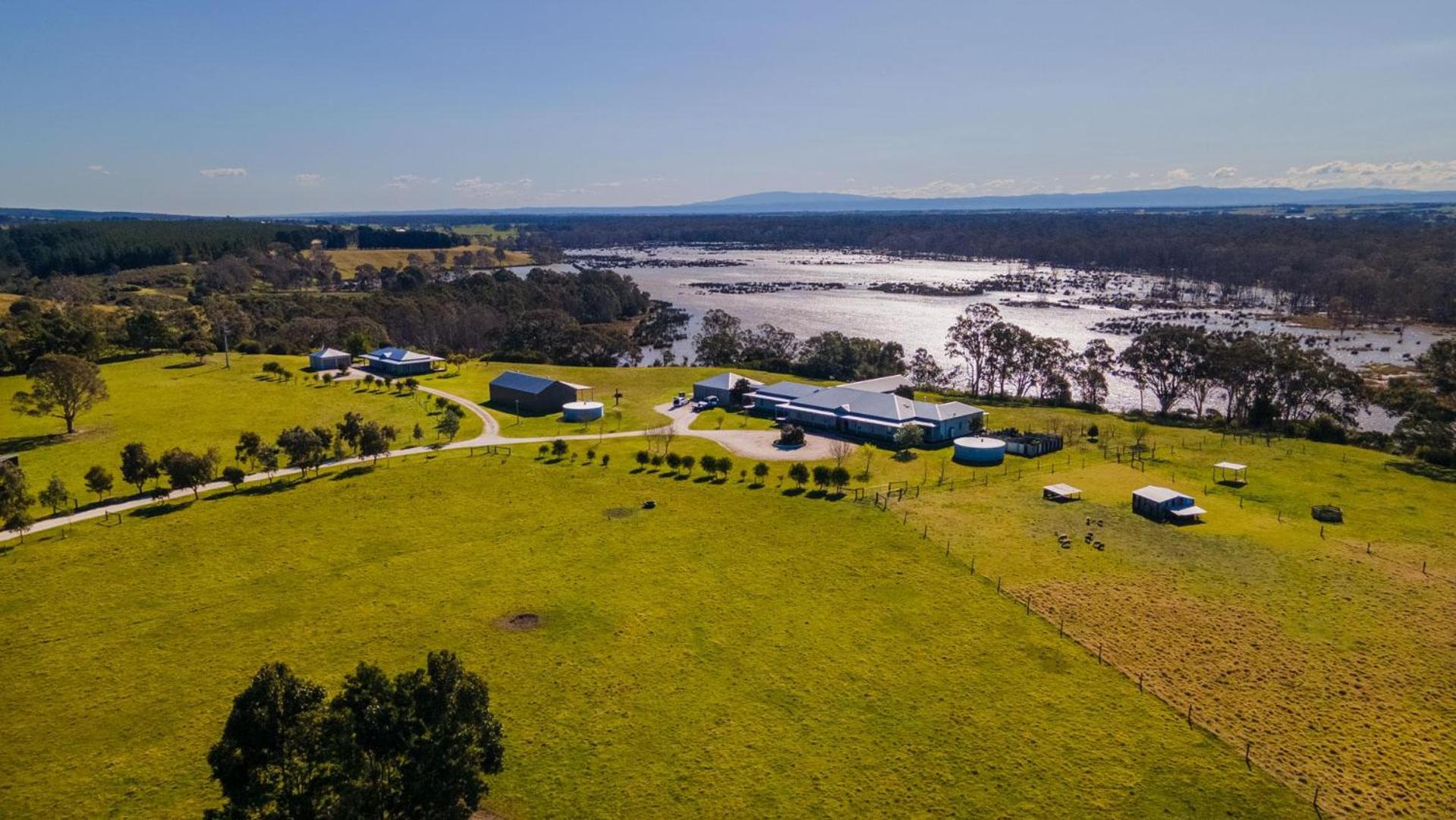 The AUSF Homestead